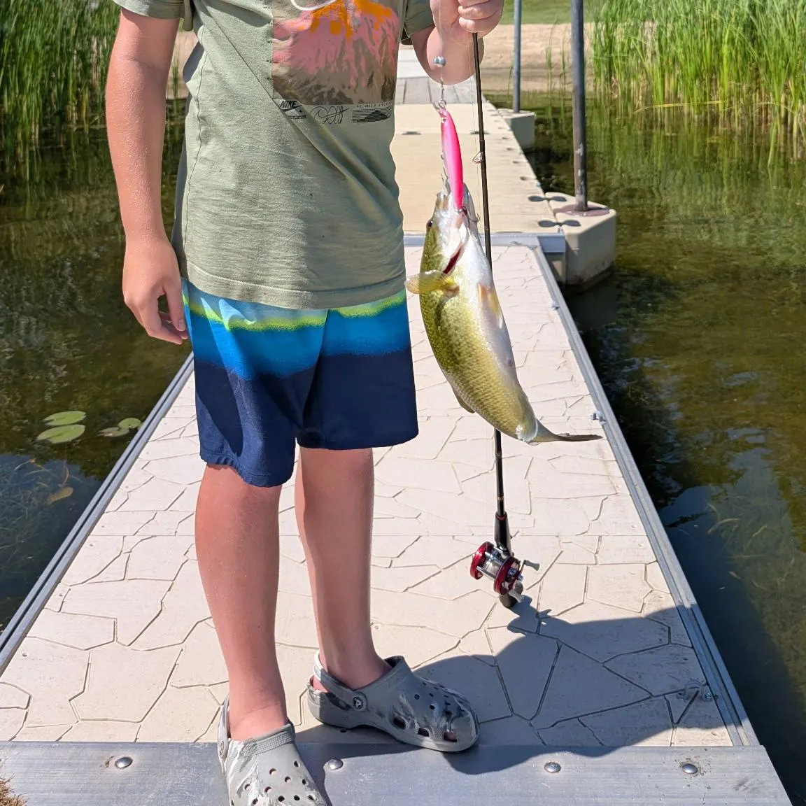 Smallmouth bass caught on Fishbrain