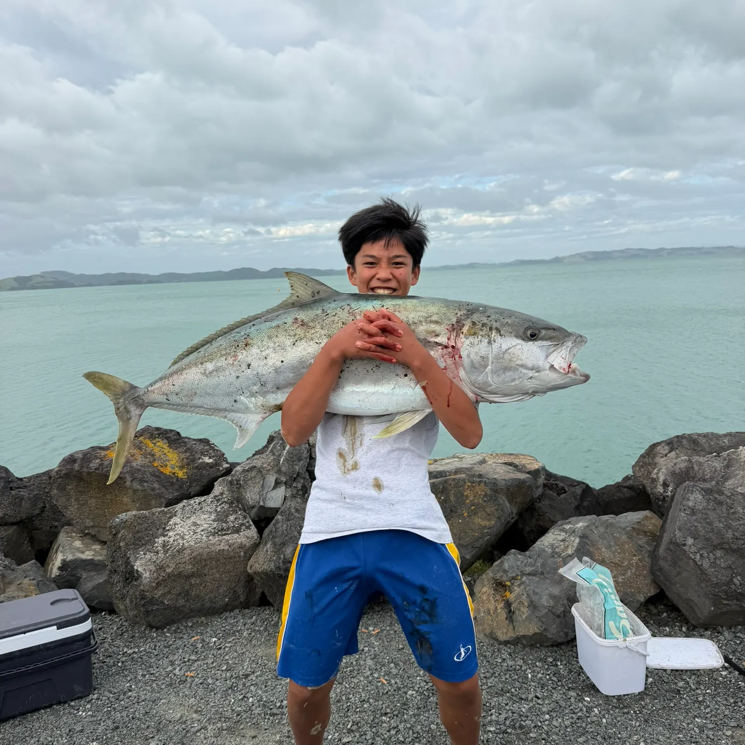 The most recent Southern yellowtail amberjack catches on Fishbrain