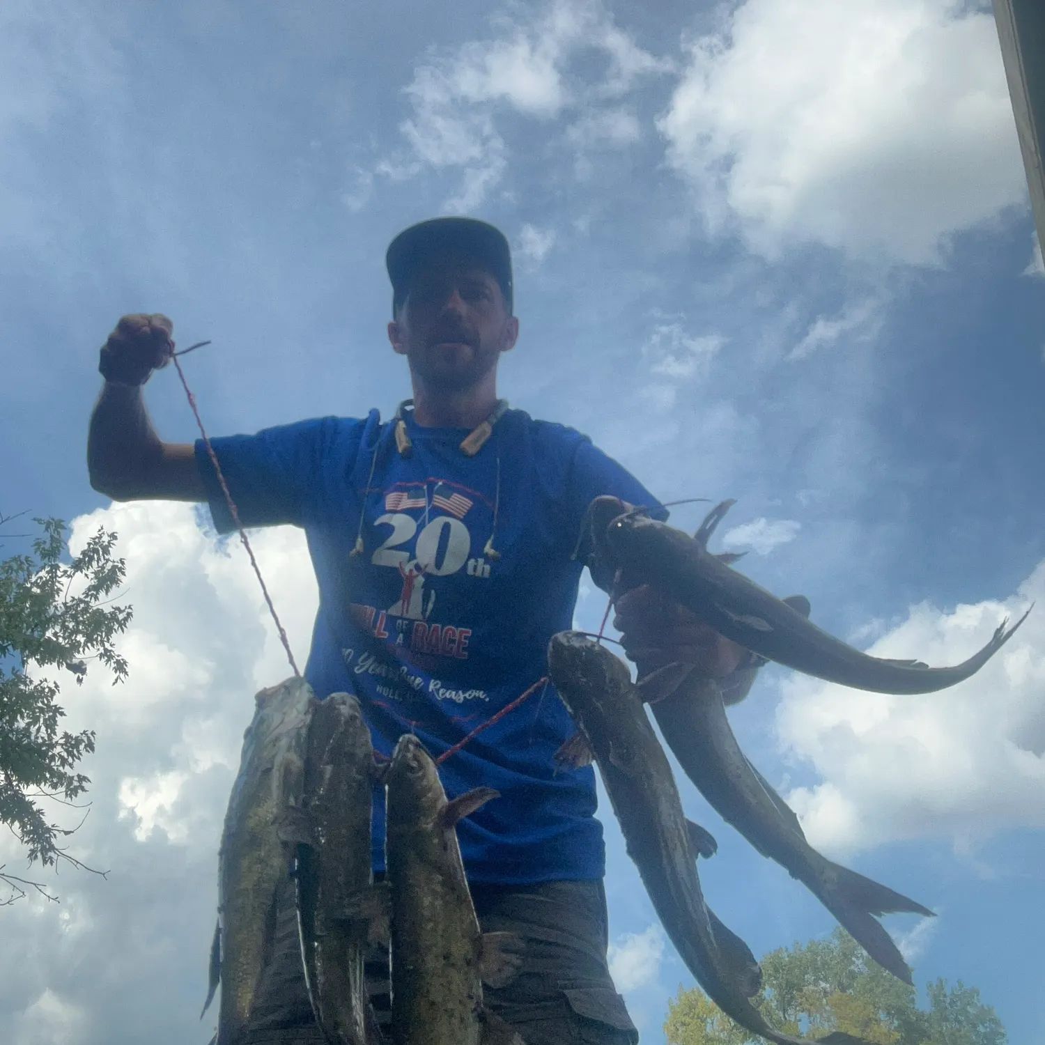 Fish caught on Fishbrain