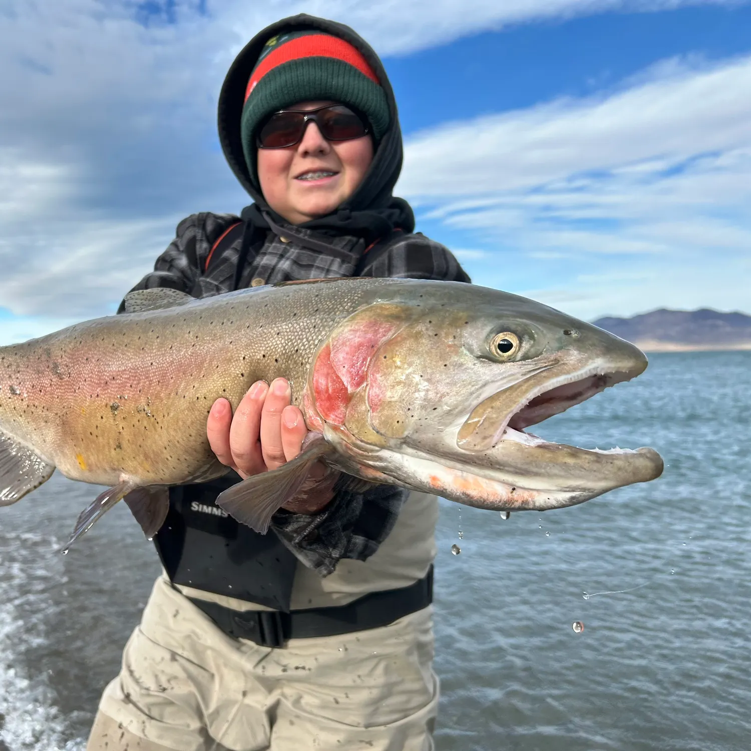 The most recent Lahontan cutthroat trout catches on Fishbrain
