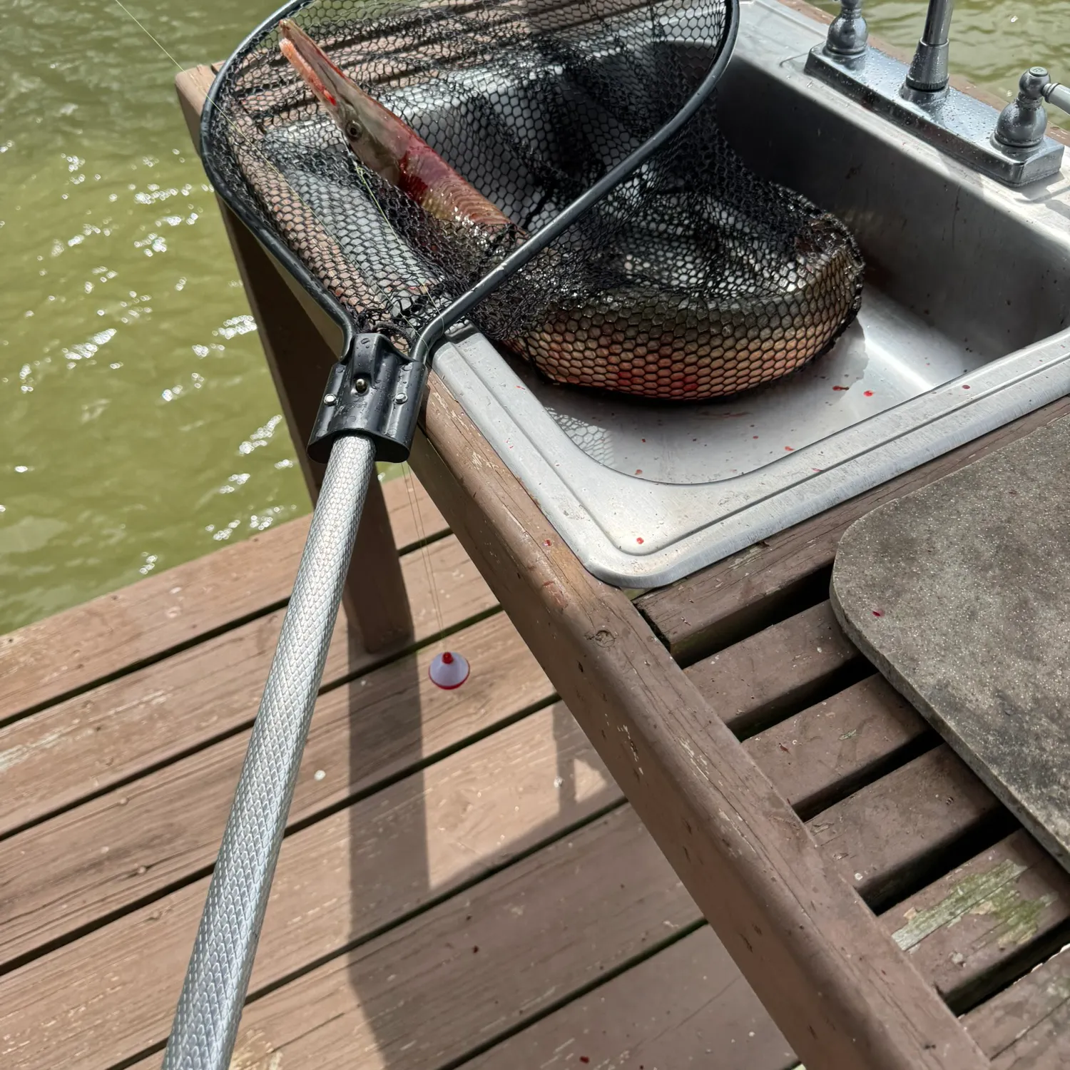 catch