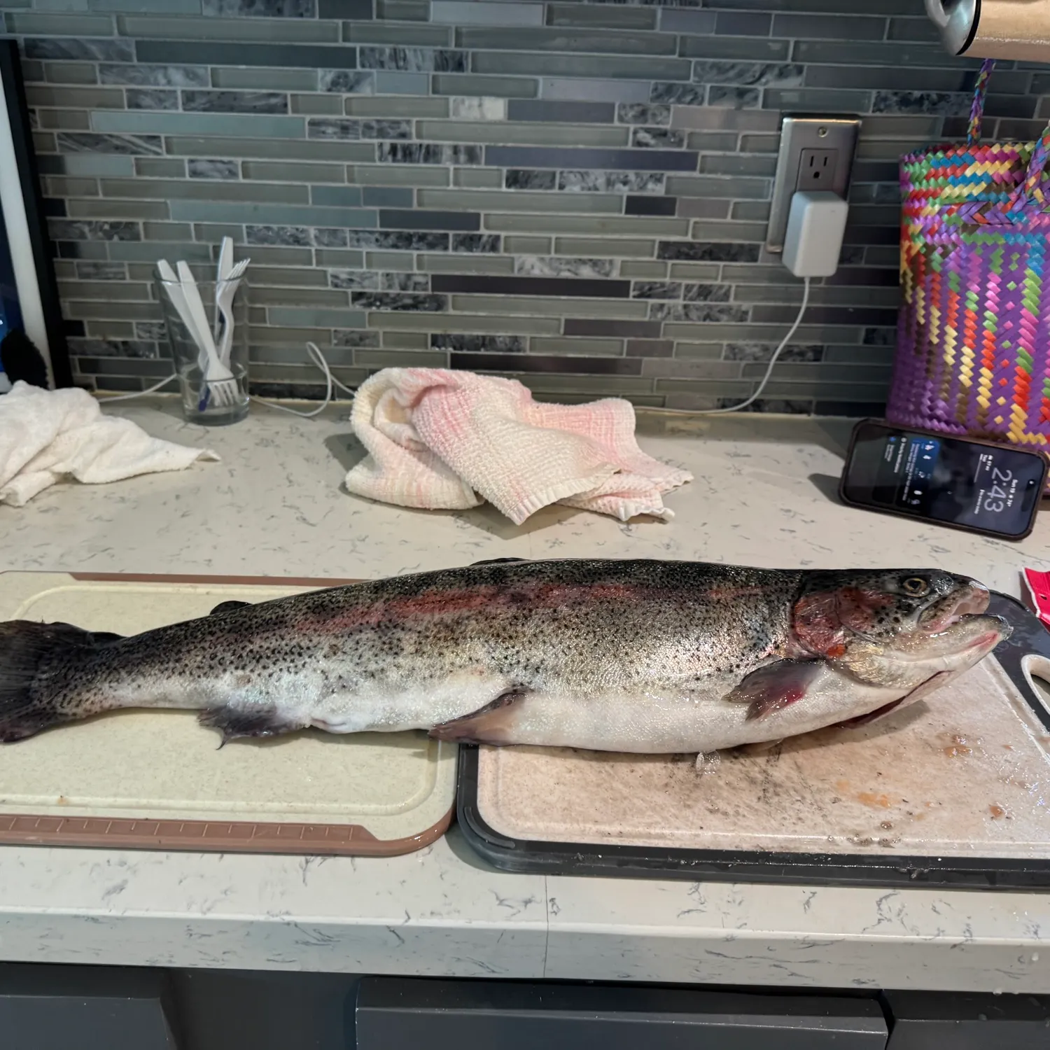 recently logged catches