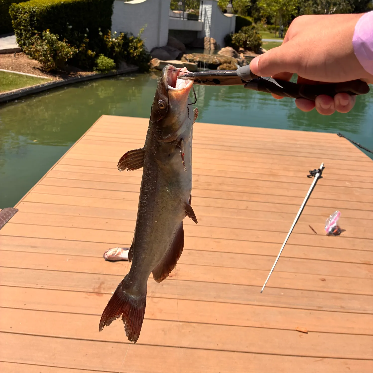 catch