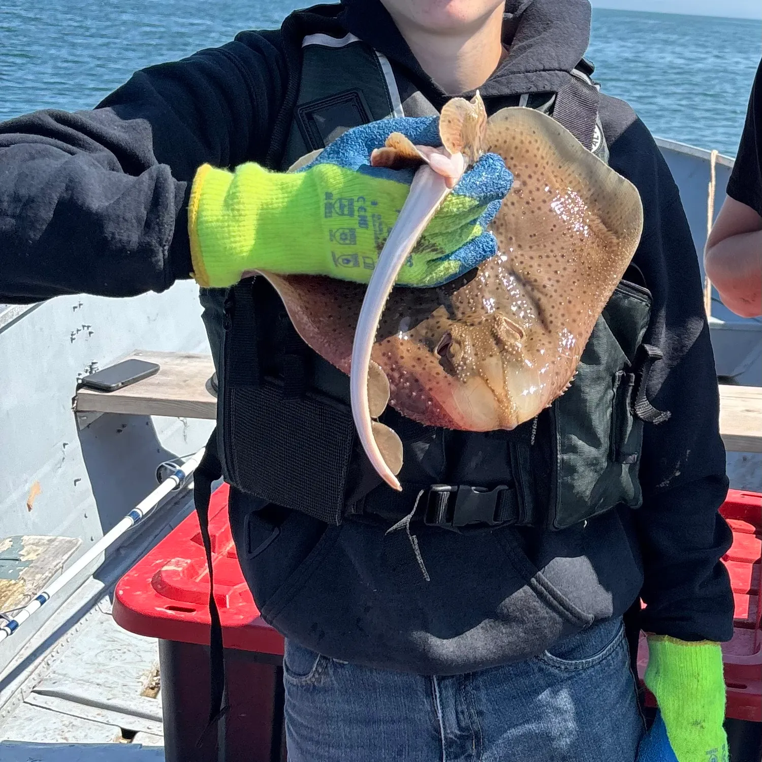 Starry ray caught on Fishbrain