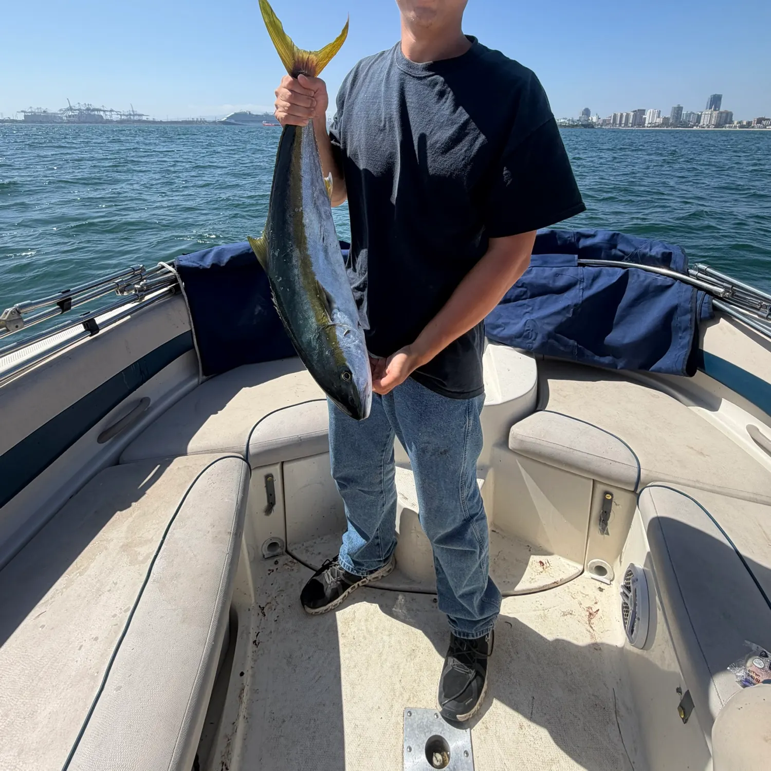 California yellowtail amberjack caught on Fishbrain
