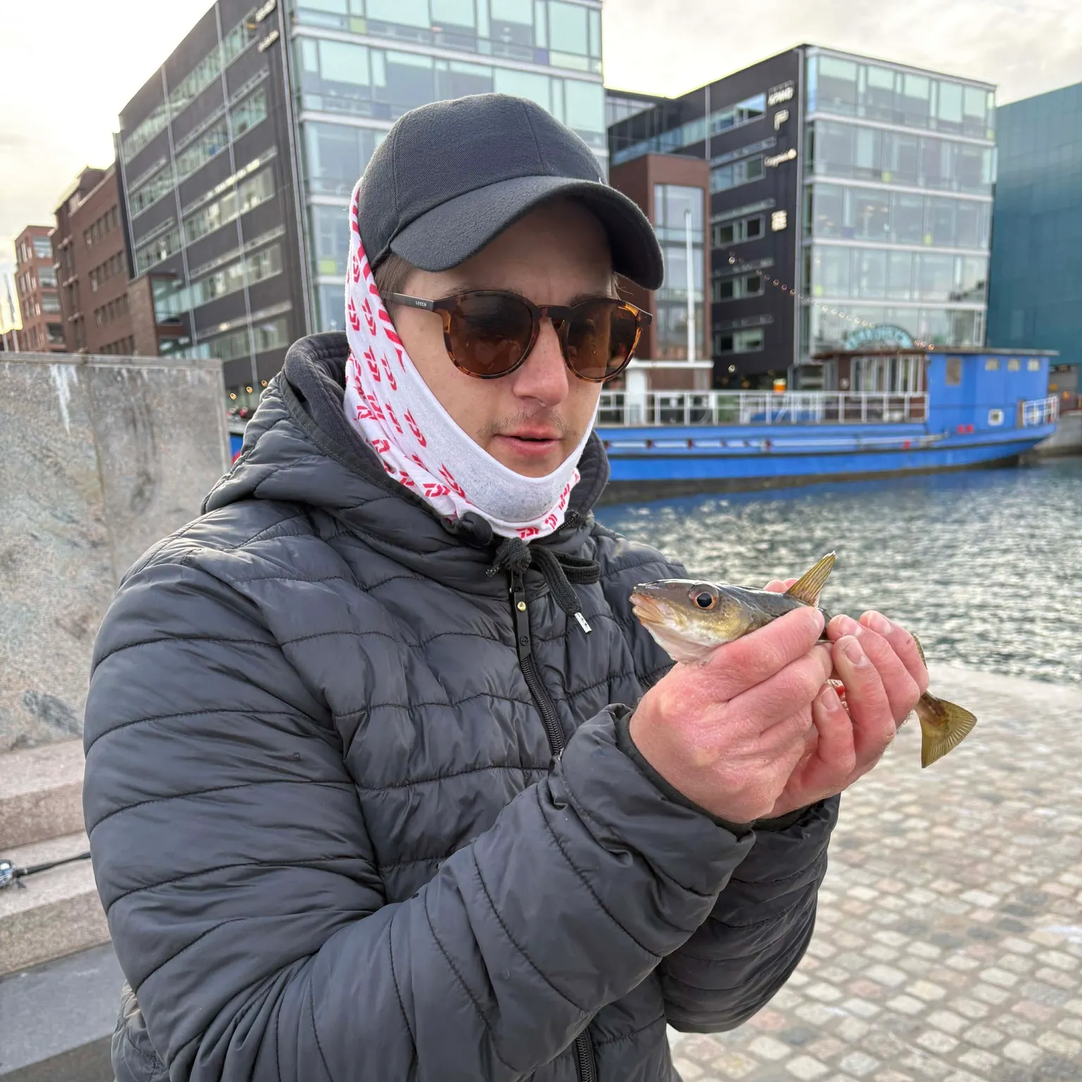 The most recent Atlantic cod catches on Fishbrain