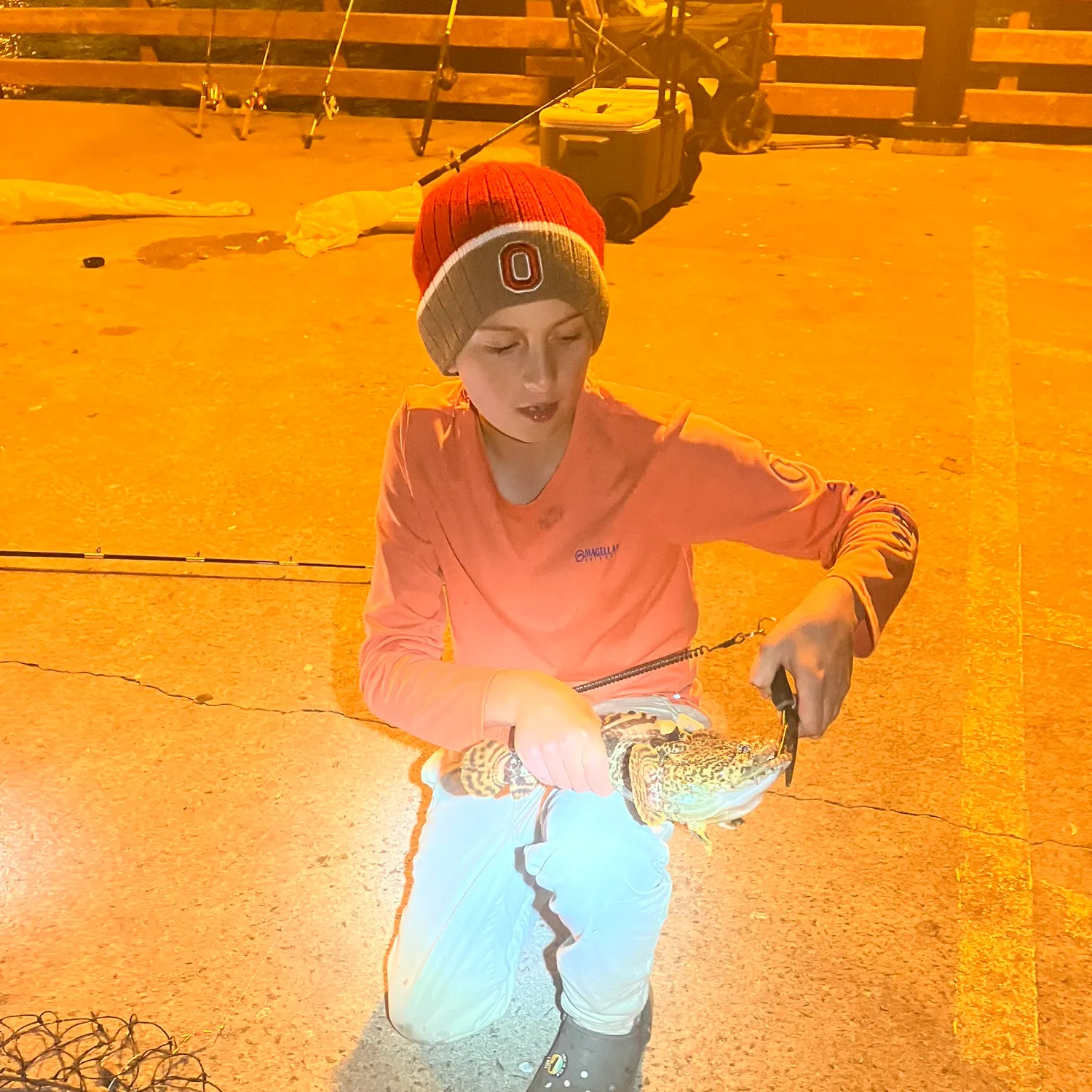 The most recent Oyster toadfish catches on Fishbrain