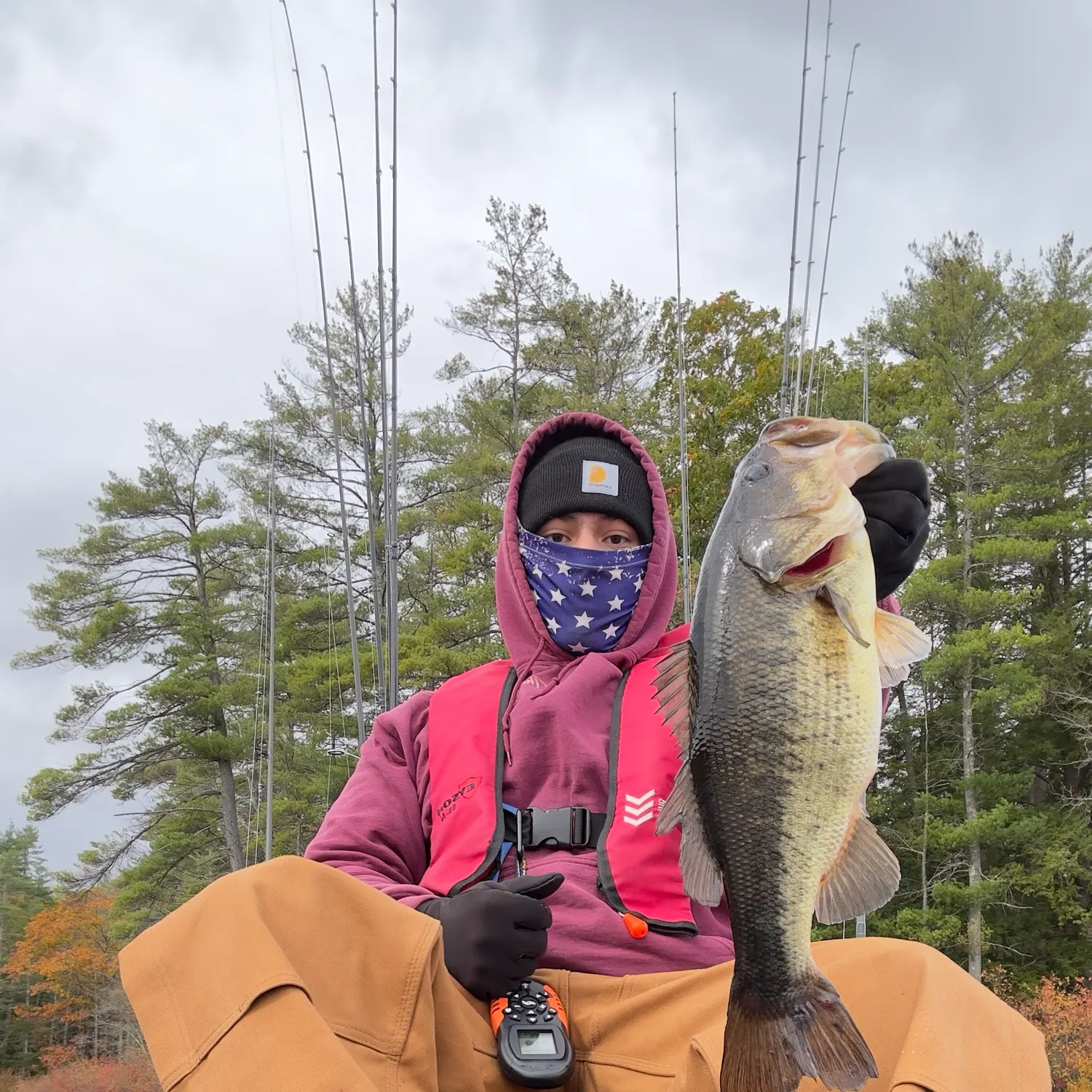 Largemouth bass caught on Fishbrain