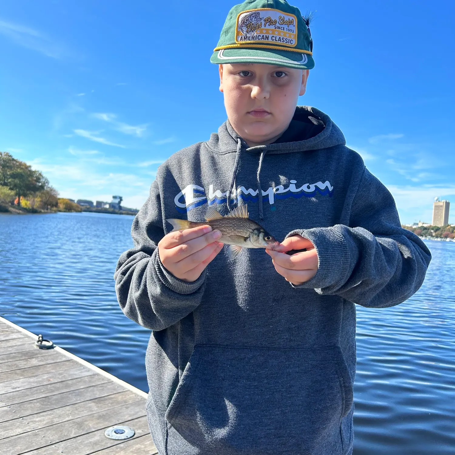 White perch caught on Fishbrain