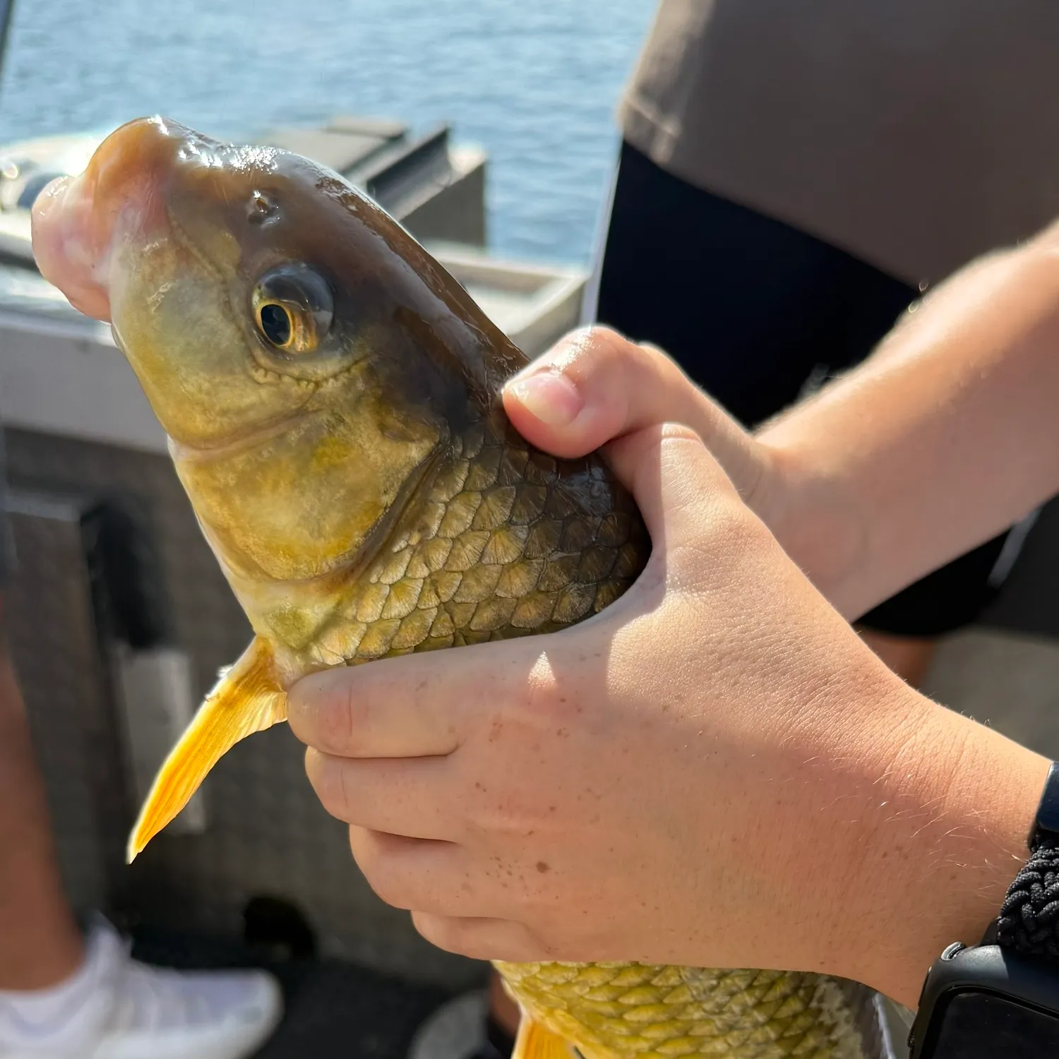 catch