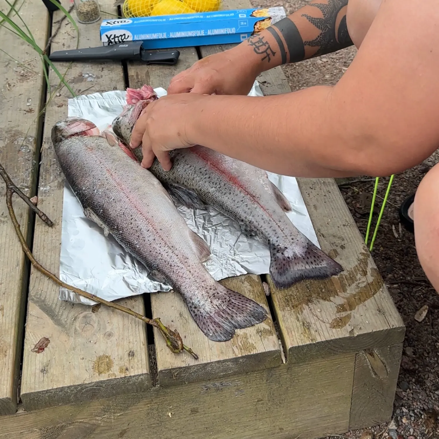 recently logged catches