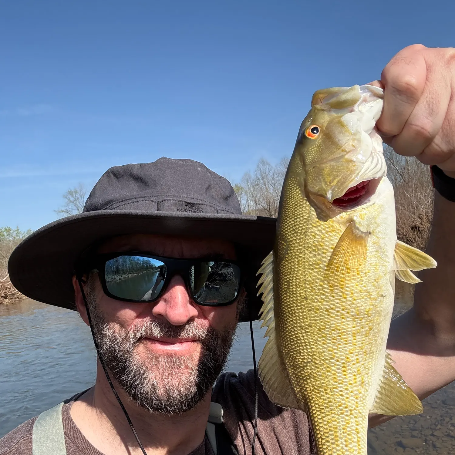 The most recent Smallmouth bass catches on Fishbrain