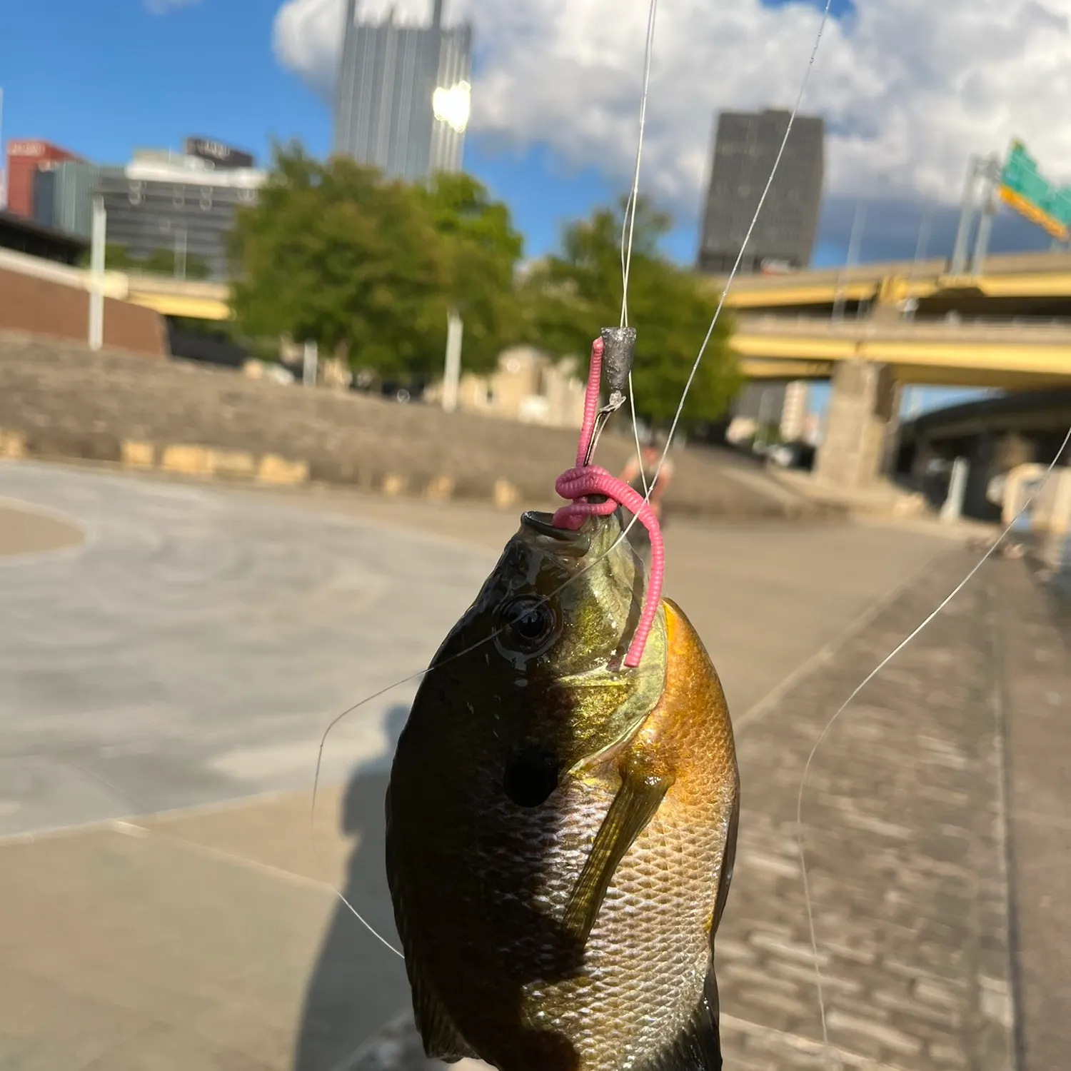 catch