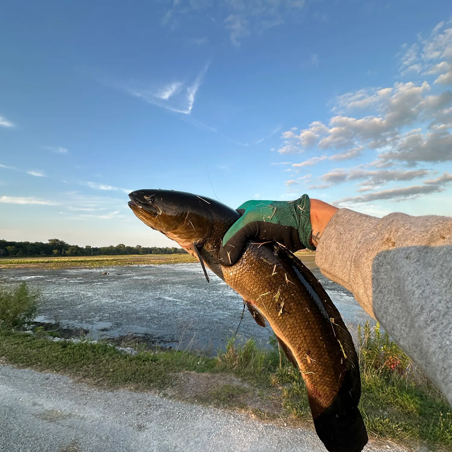 catch