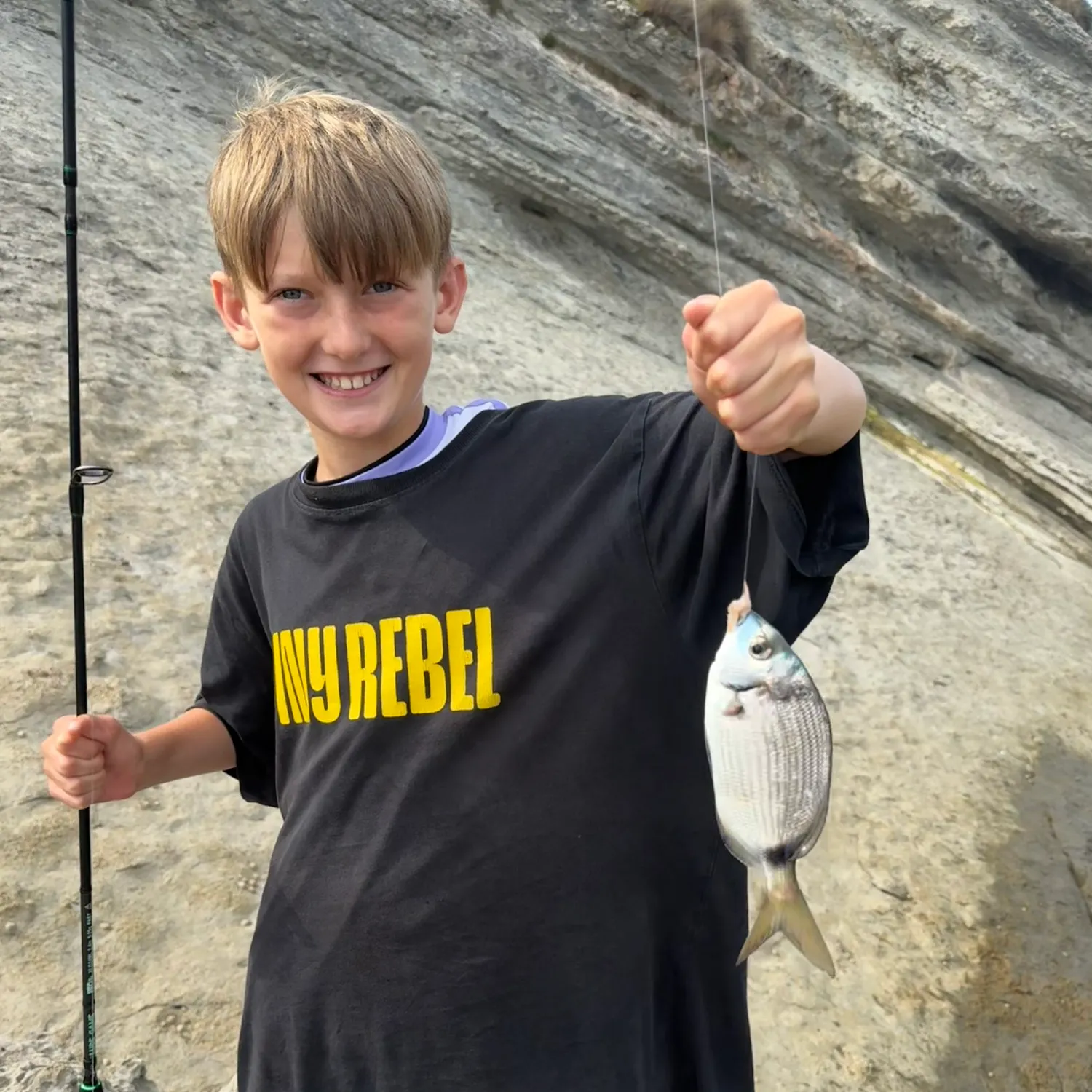 The most recent Common two-banded seabream catches on Fishbrain