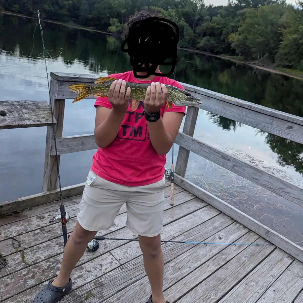 Northern pike caught on Fishbrain