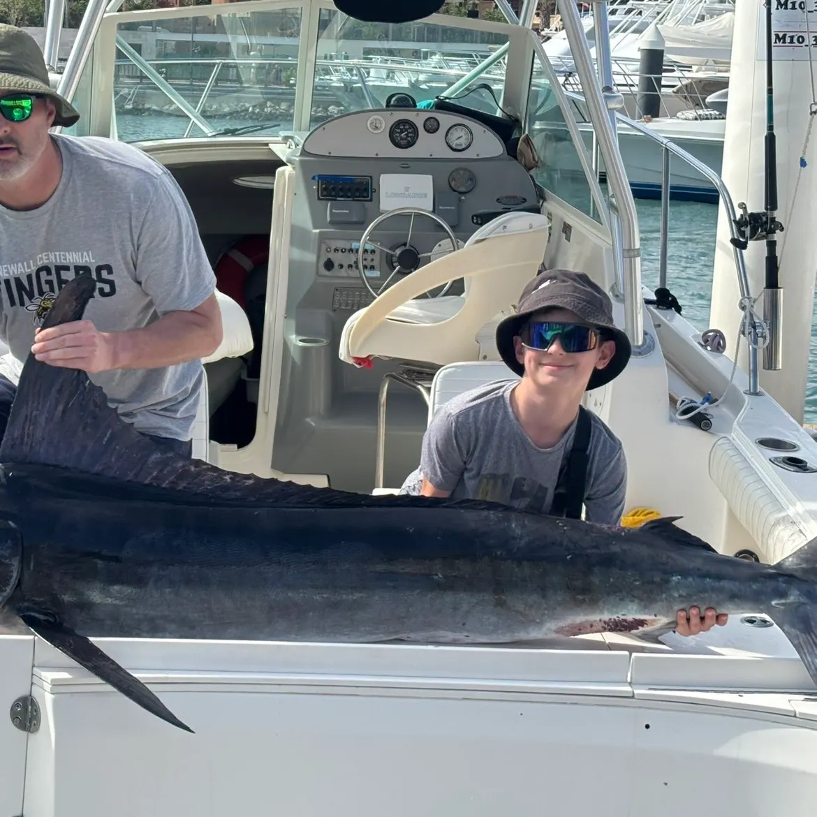 The most recent Striped marlin catches on Fishbrain
