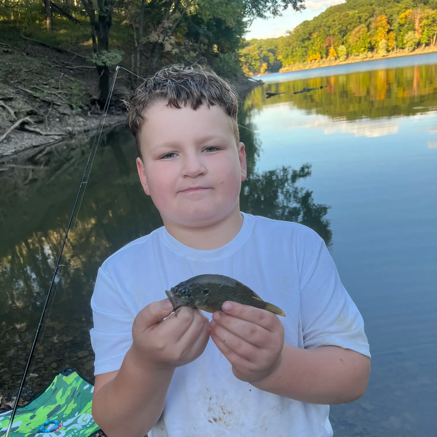 Green sunfish caught on Fishbrain