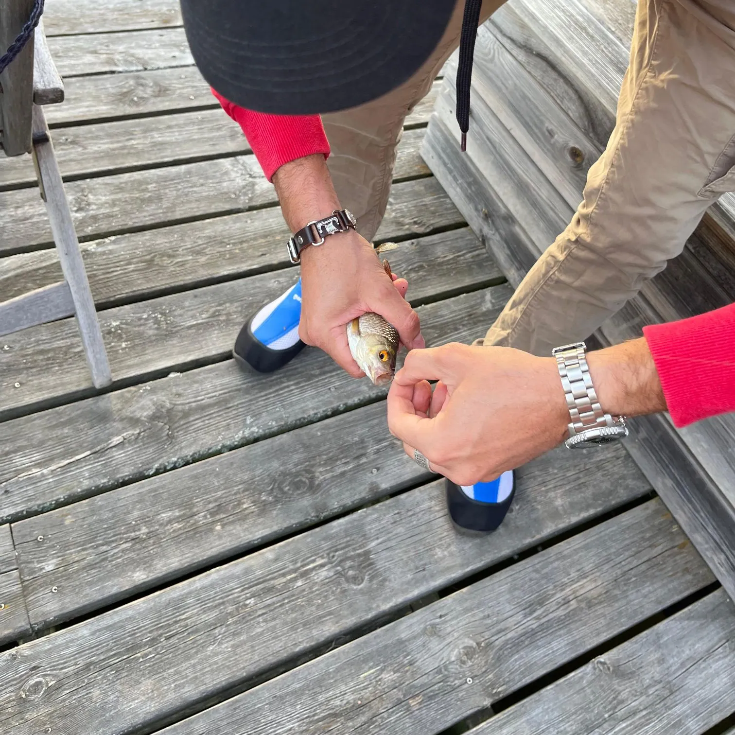 The most recent European whitefish catches on Fishbrain