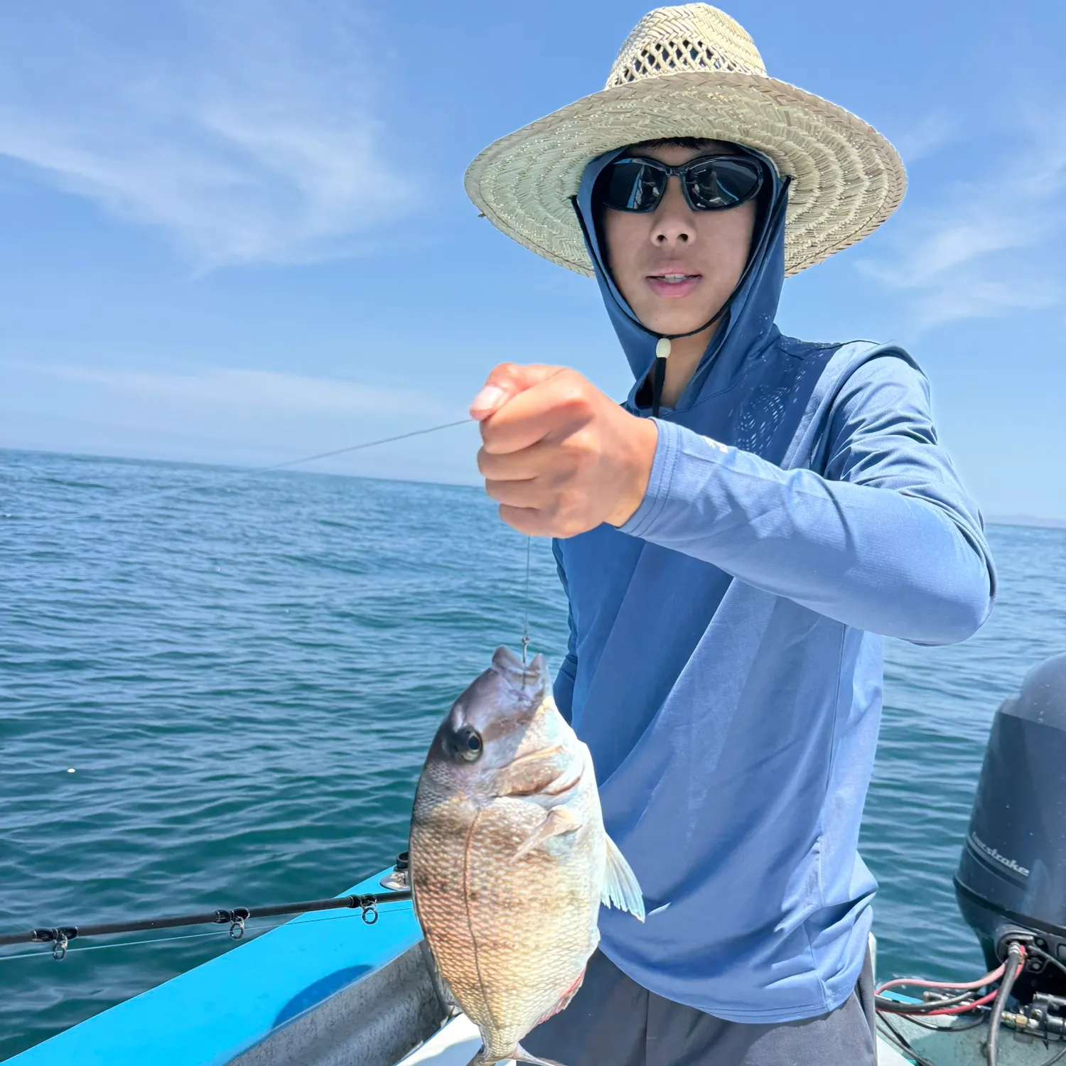 The most recent Pacific cubera snapper catches on Fishbrain