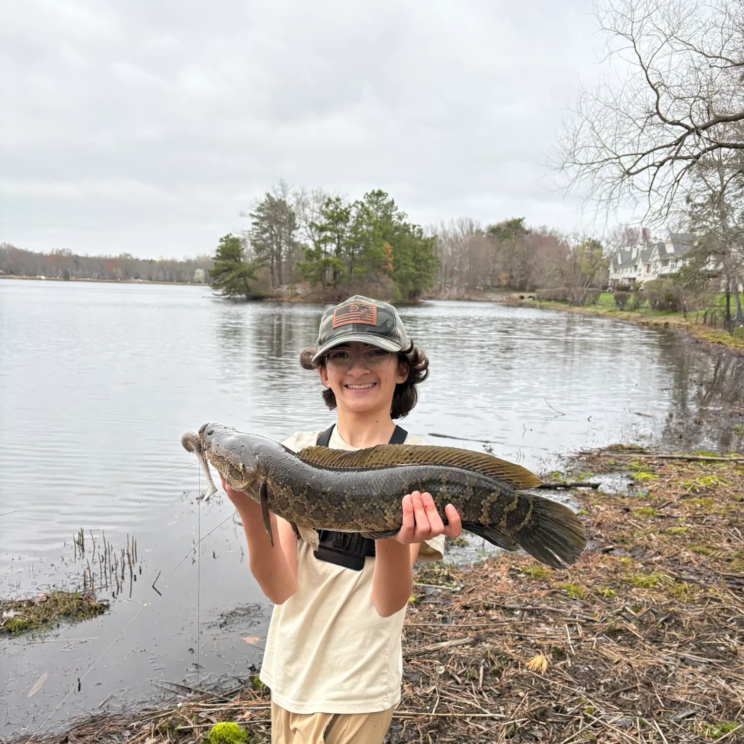 The most recent Northern snakehead catches on Fishbrain