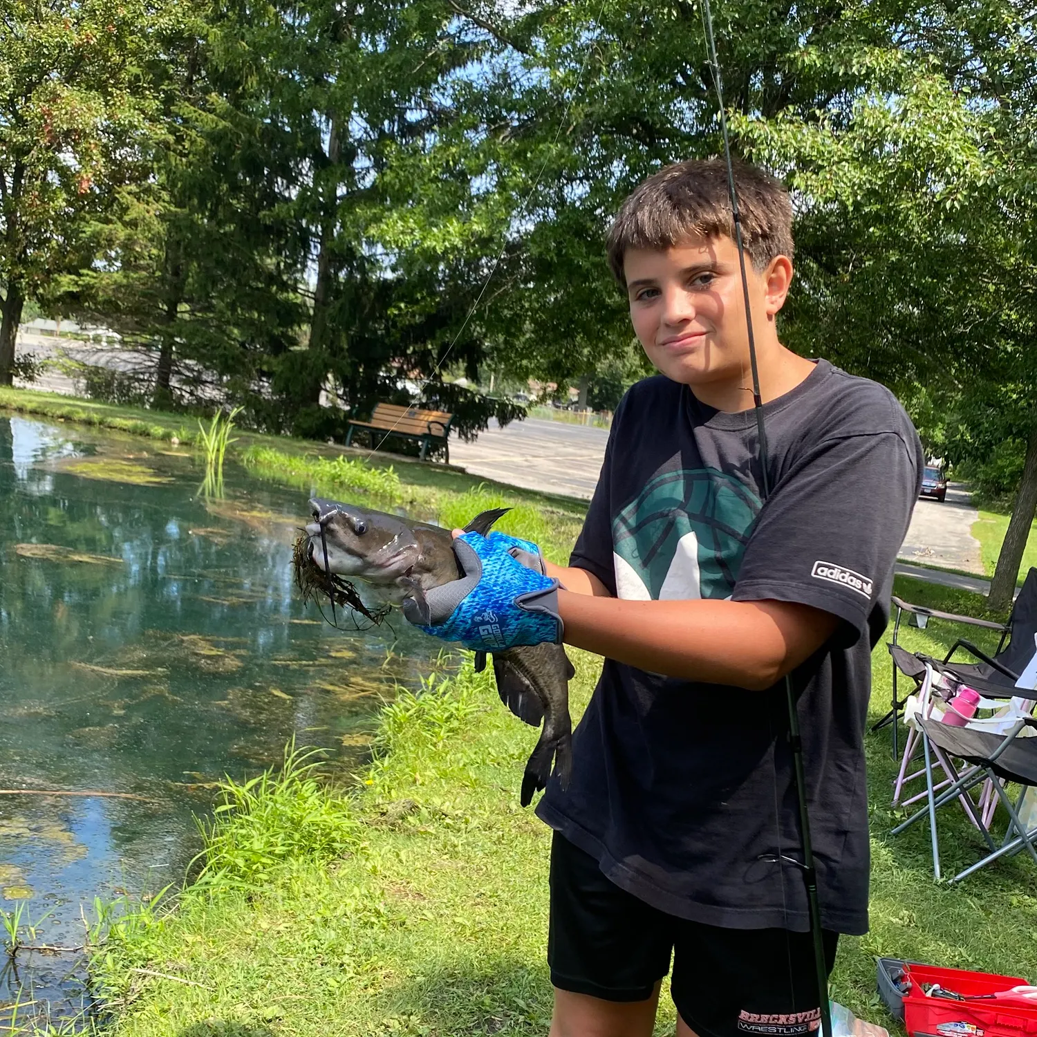 Channel catfish caught on Fishbrain