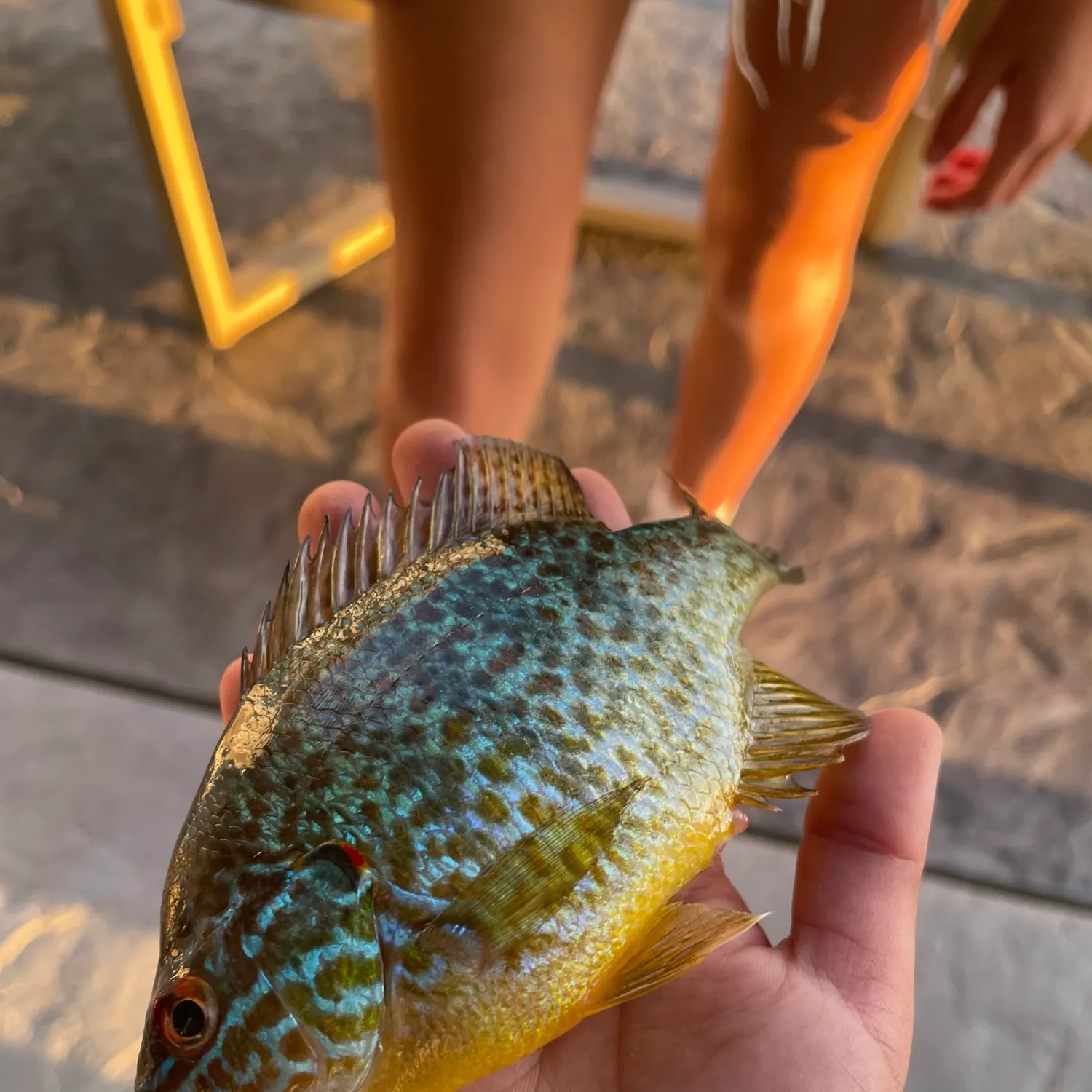 catch