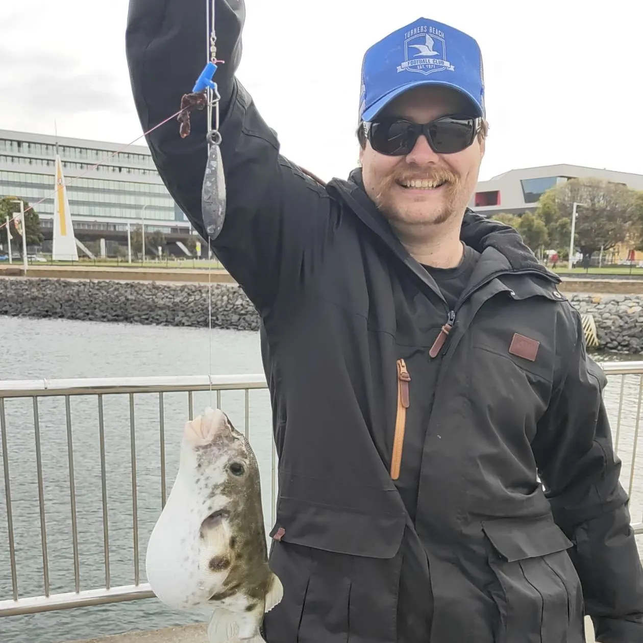 The most recent Common toadfish catches on Fishbrain