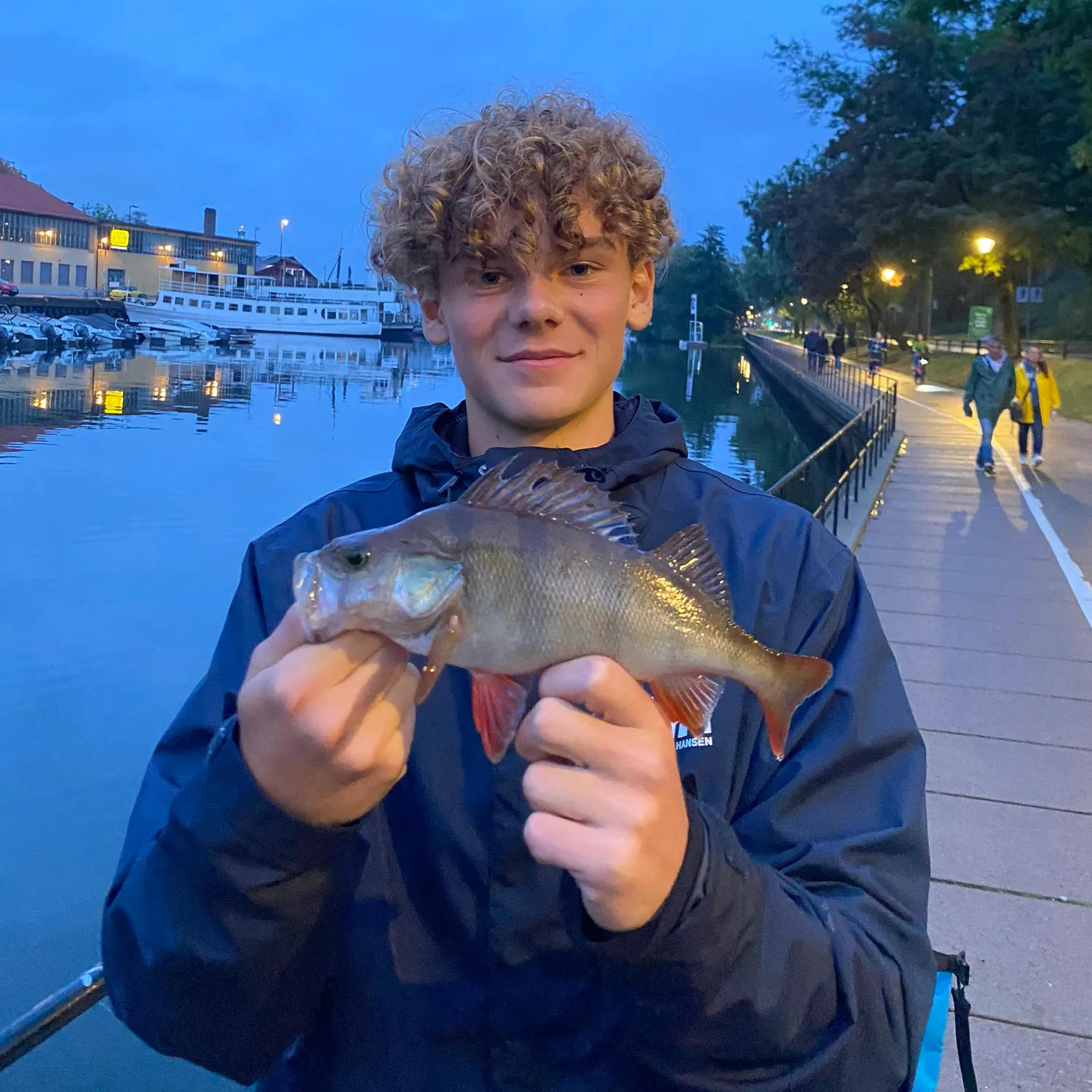 European perch caught on Fishbrain
