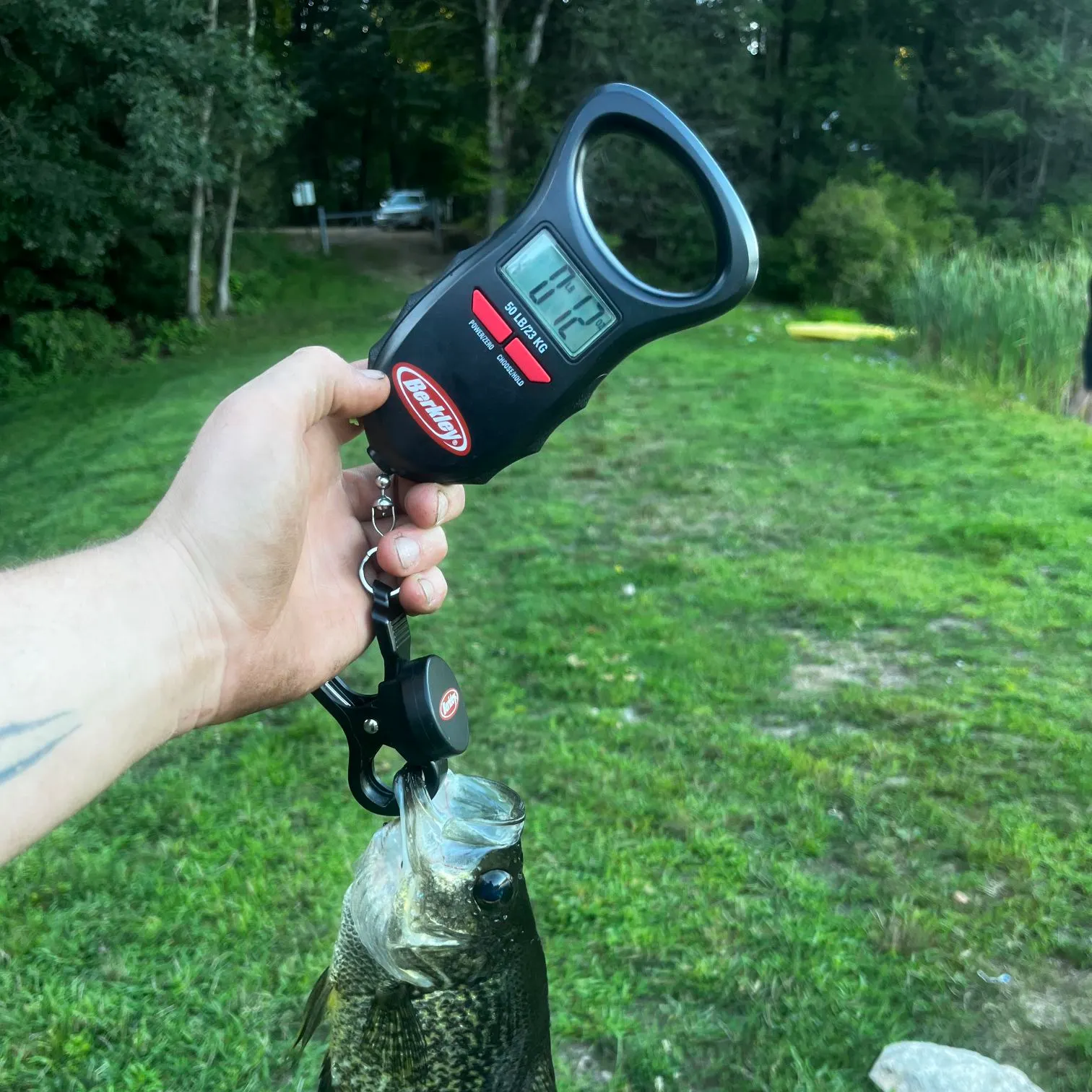 Black crappie caught on Fishbrain