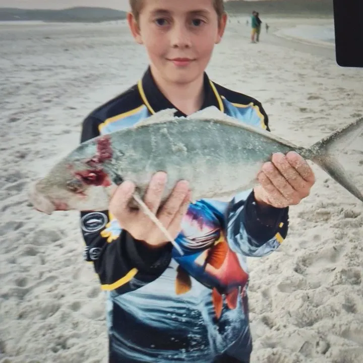 Silver trevally caught on Fishbrain