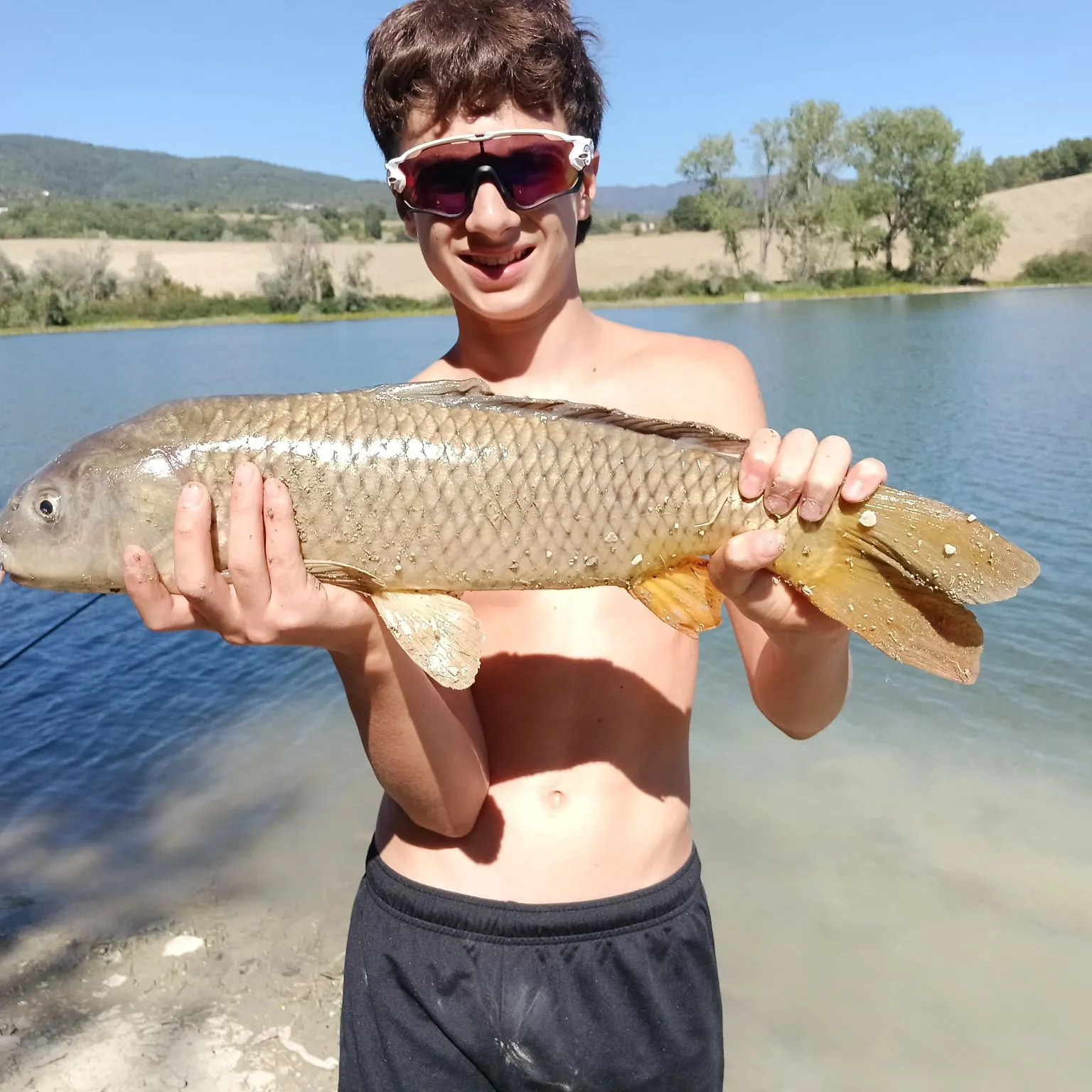Common carp caught on Fishbrain