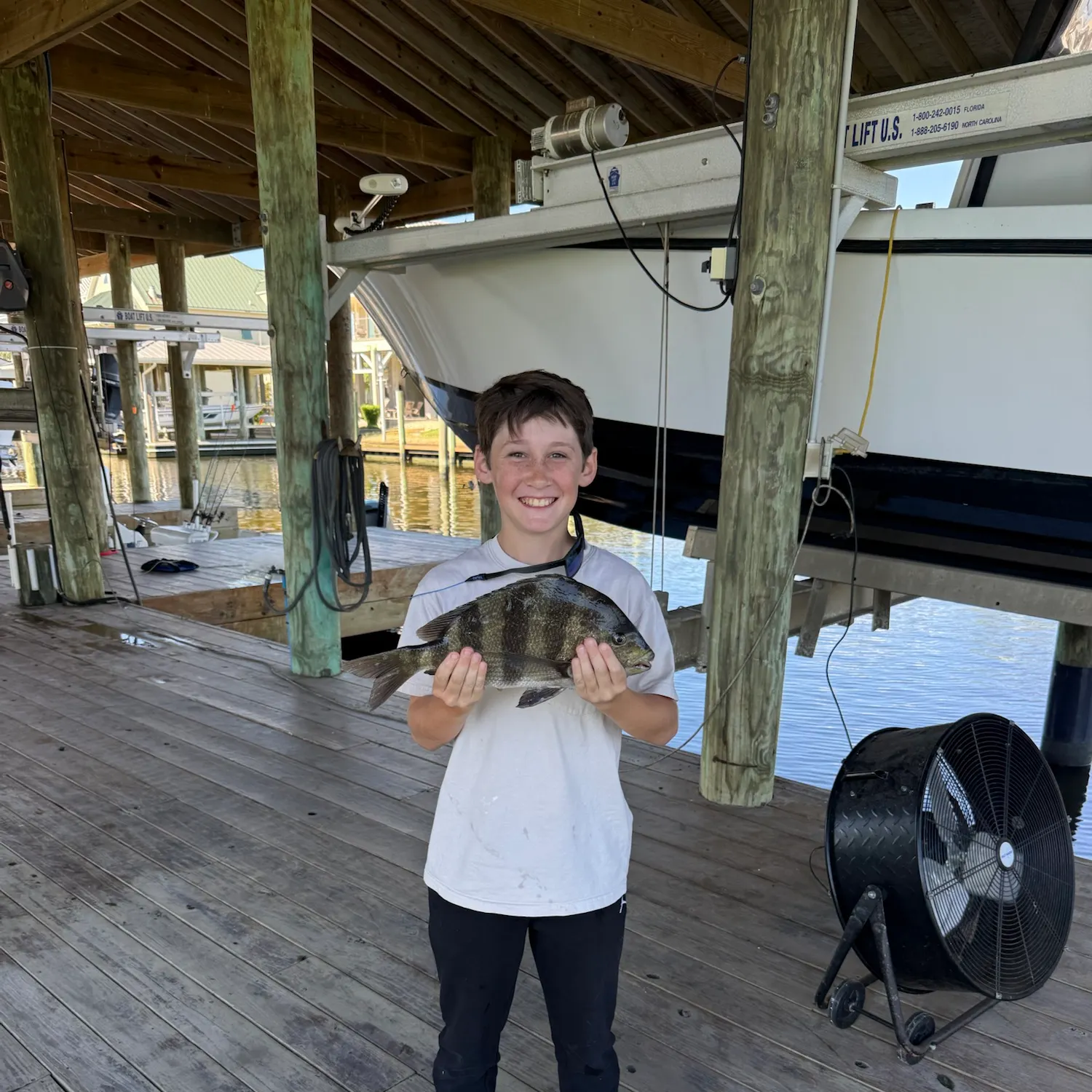 Sheepshead caught on Fishbrain
