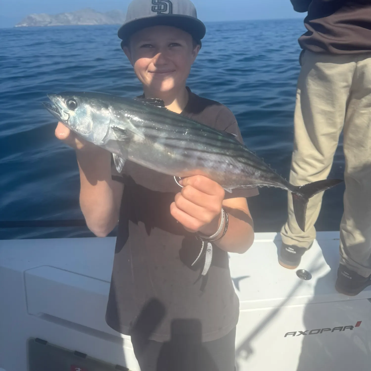The most recent Pacific bonito catches on Fishbrain