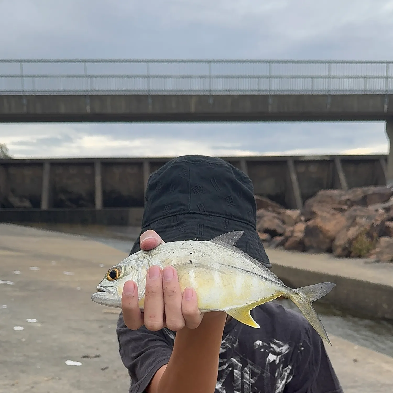 The most recent Bigeye trevally catches on Fishbrain