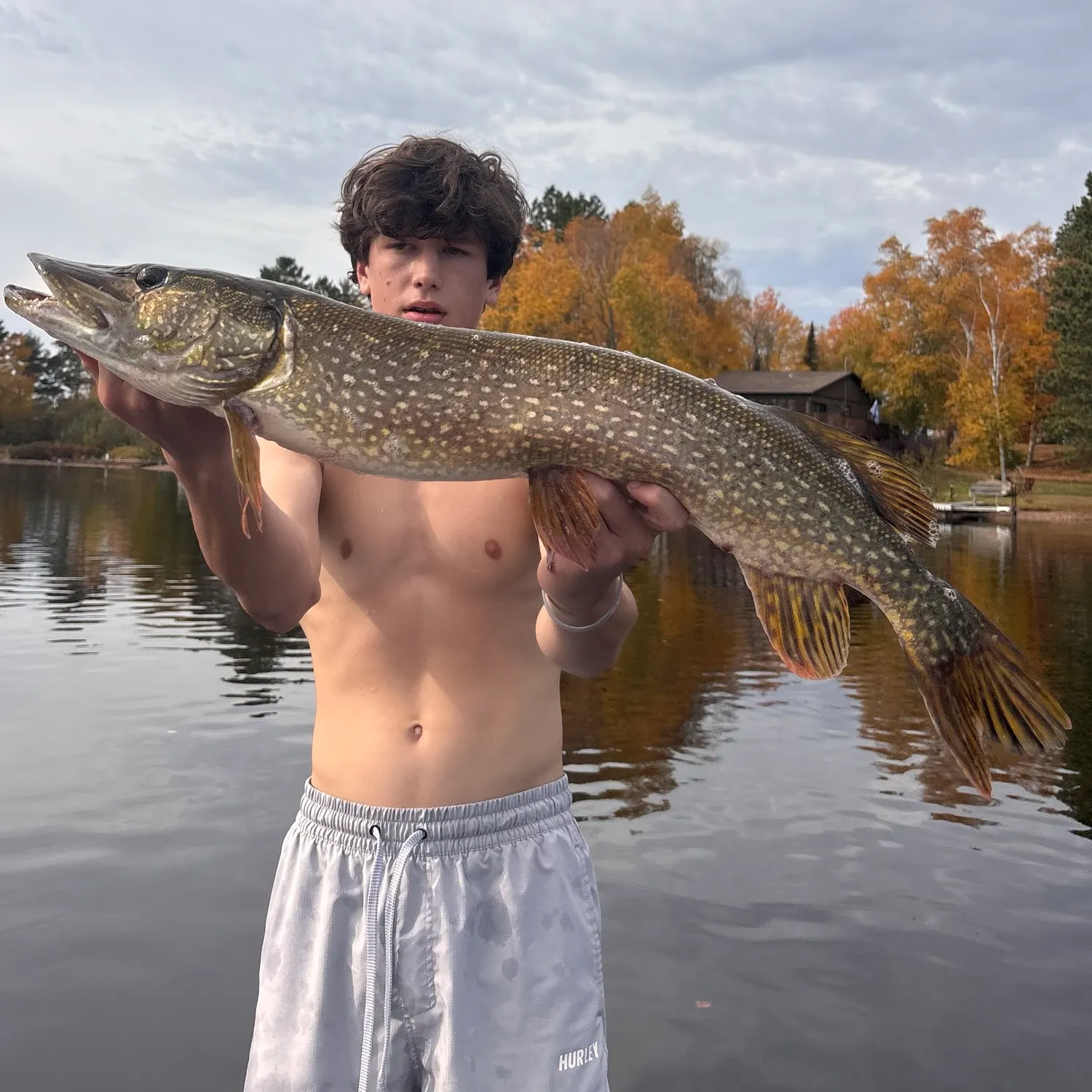 Northern pike caught on Fishbrain