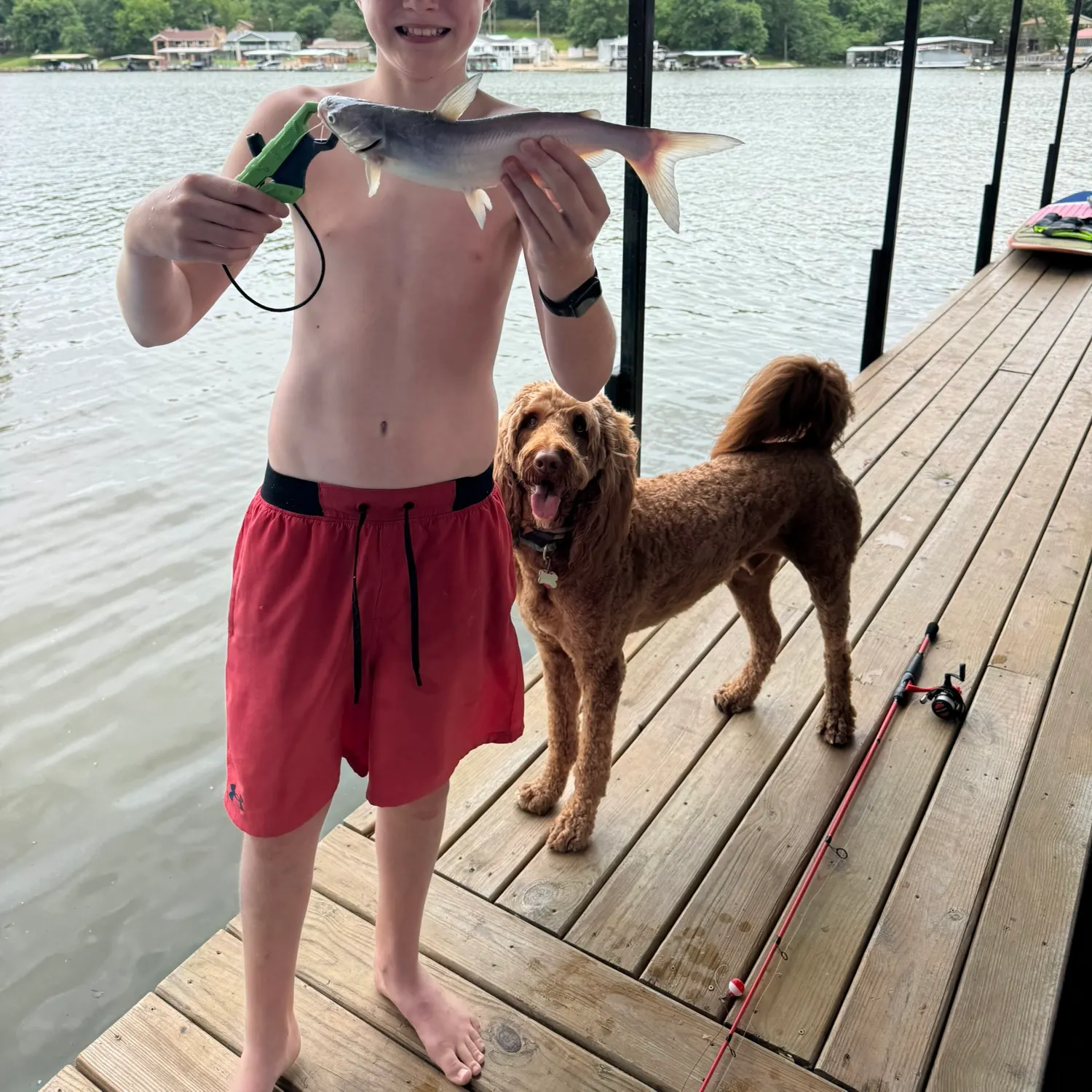recently logged catches