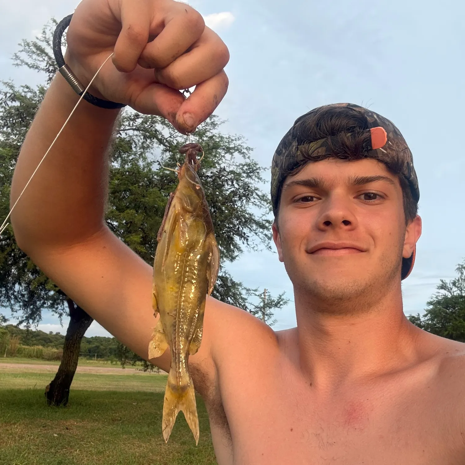 The most recent Granulated catfish catches on Fishbrain
