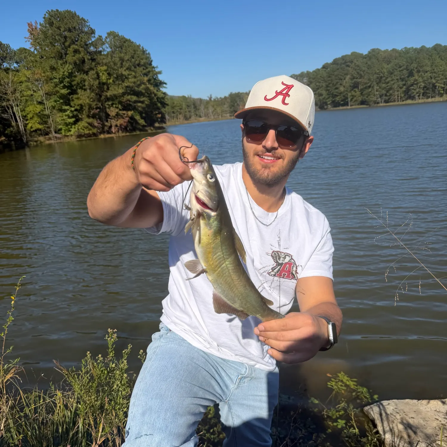 Channel catfish caught on Fishbrain