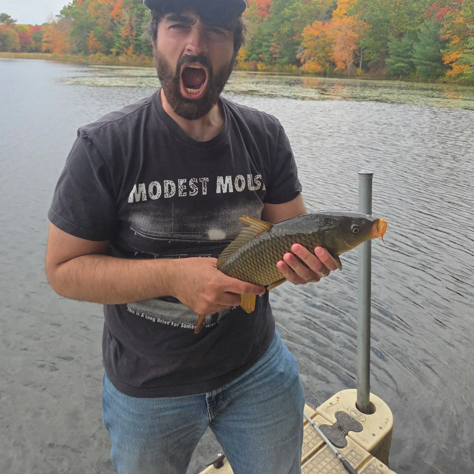 Common carp caught on Fishbrain