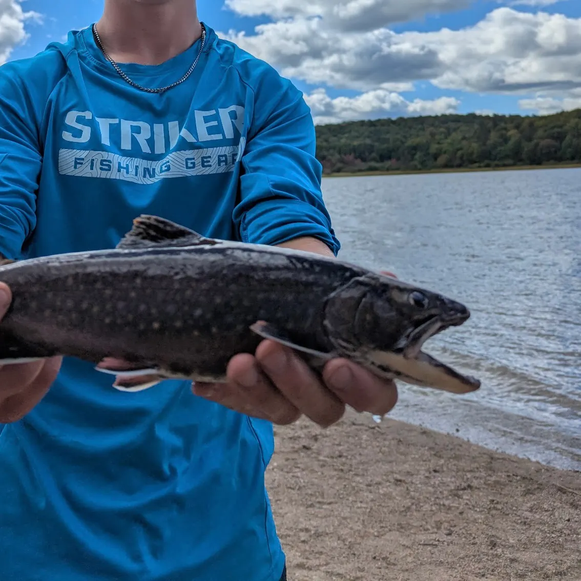 Brook trout caught on Fishbrain