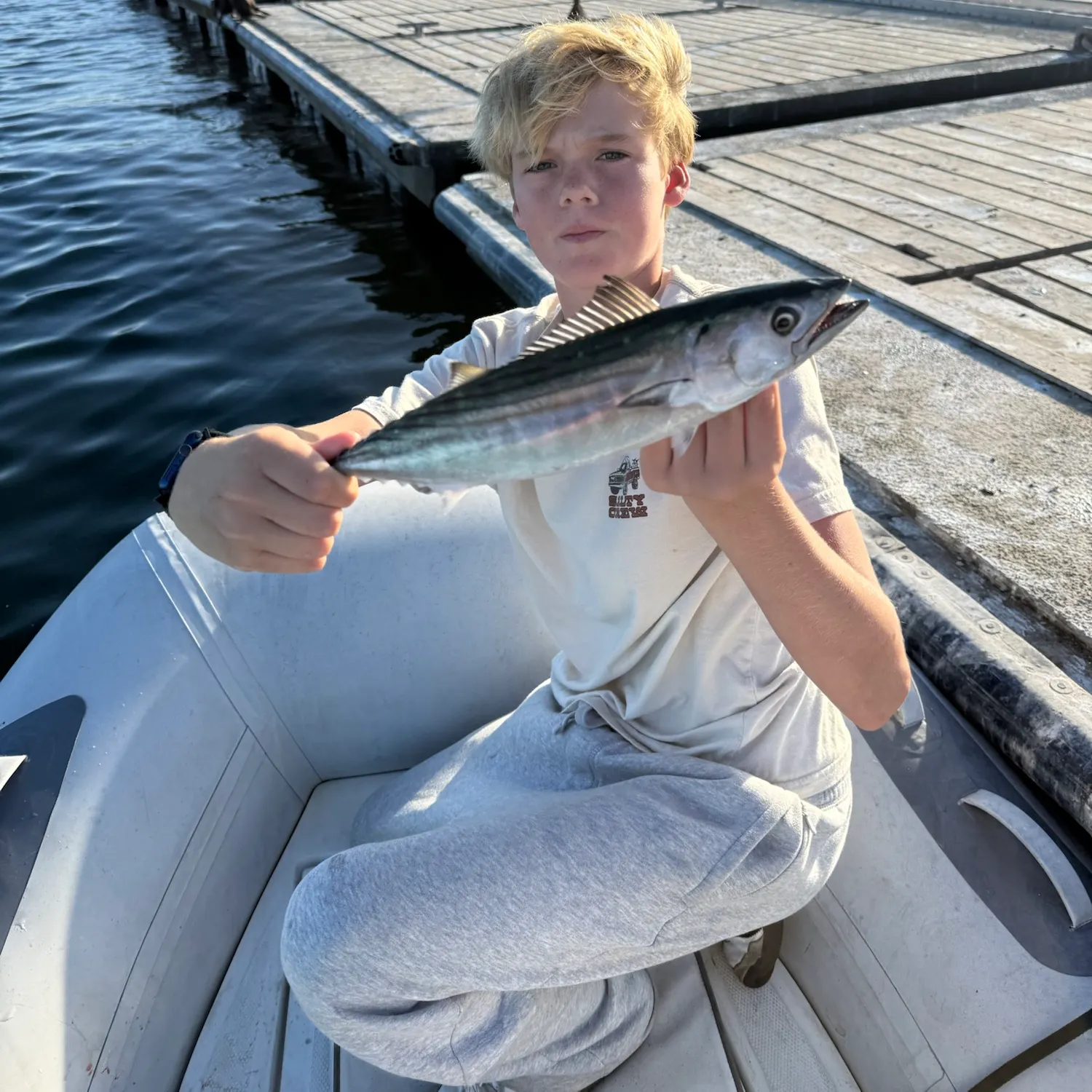 Eastern Pacific bonito caught on Fishbrain