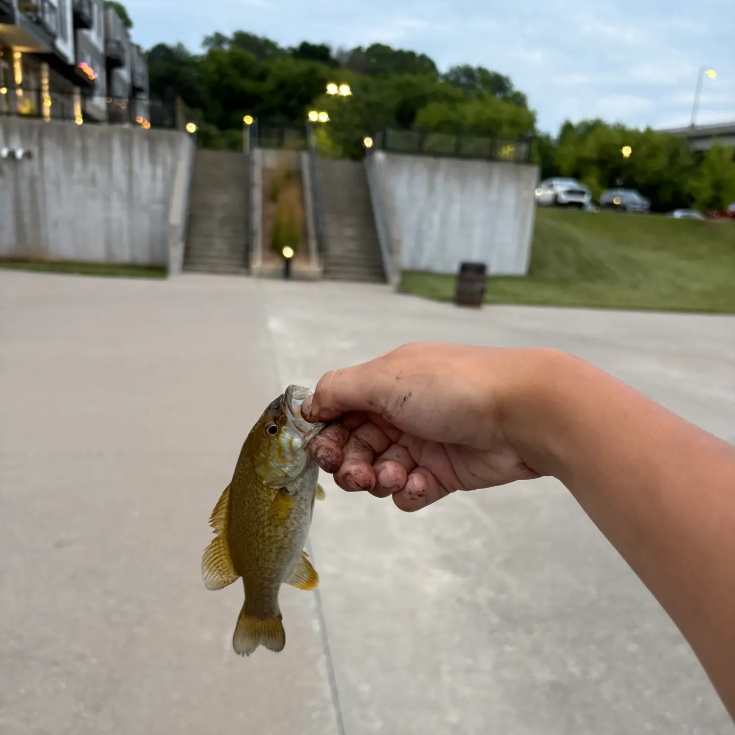 catch