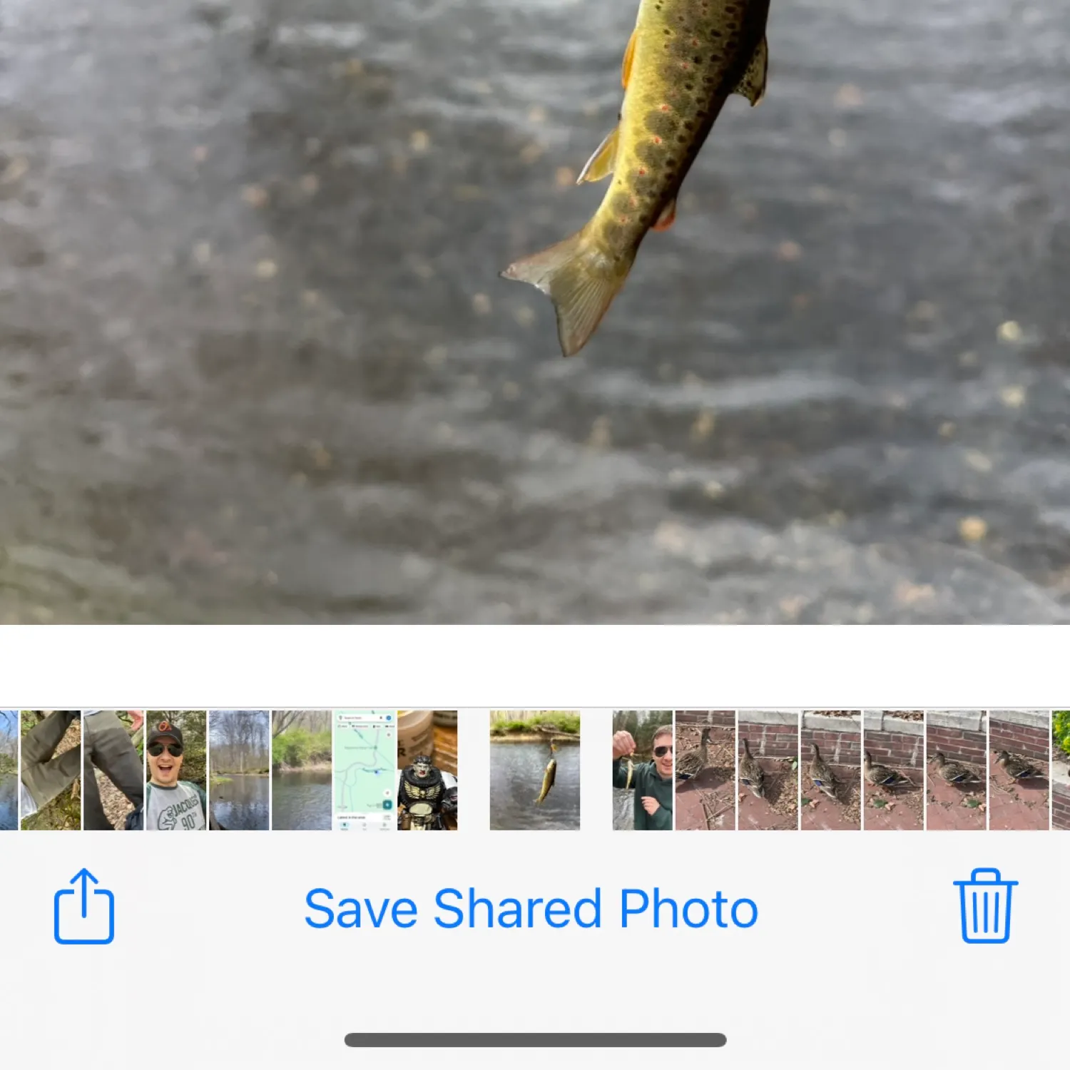 catch