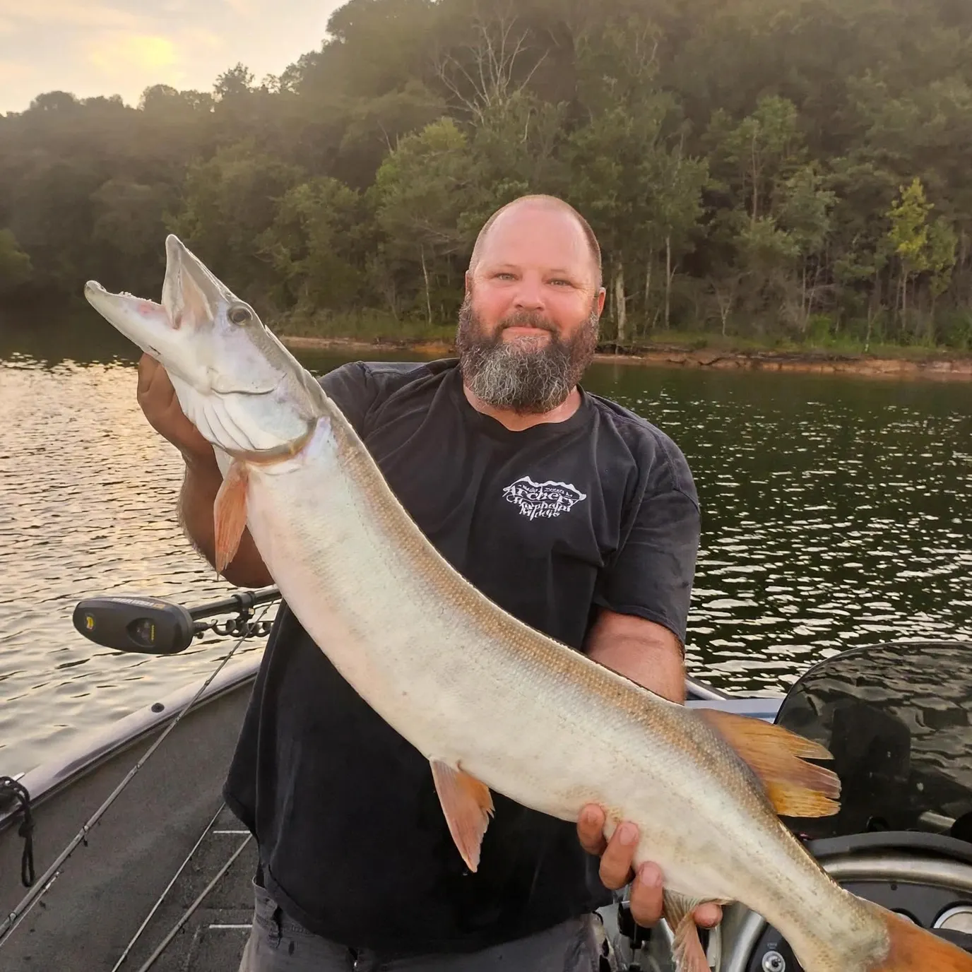 The most recent Muskie catches on Fishbrain