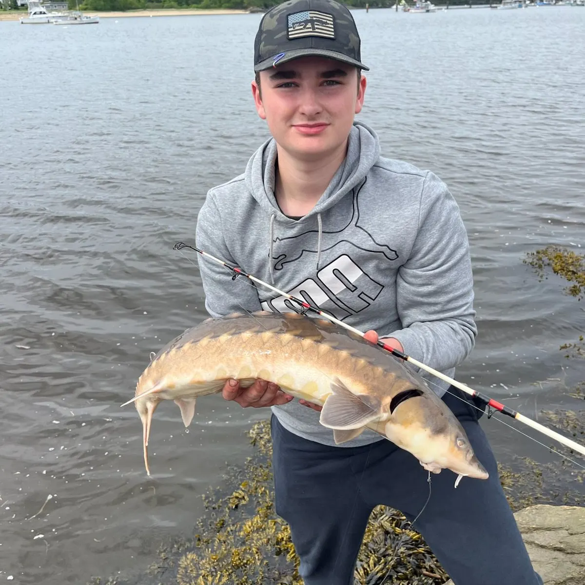 The most recent Atlantic sturgeon catches on Fishbrain