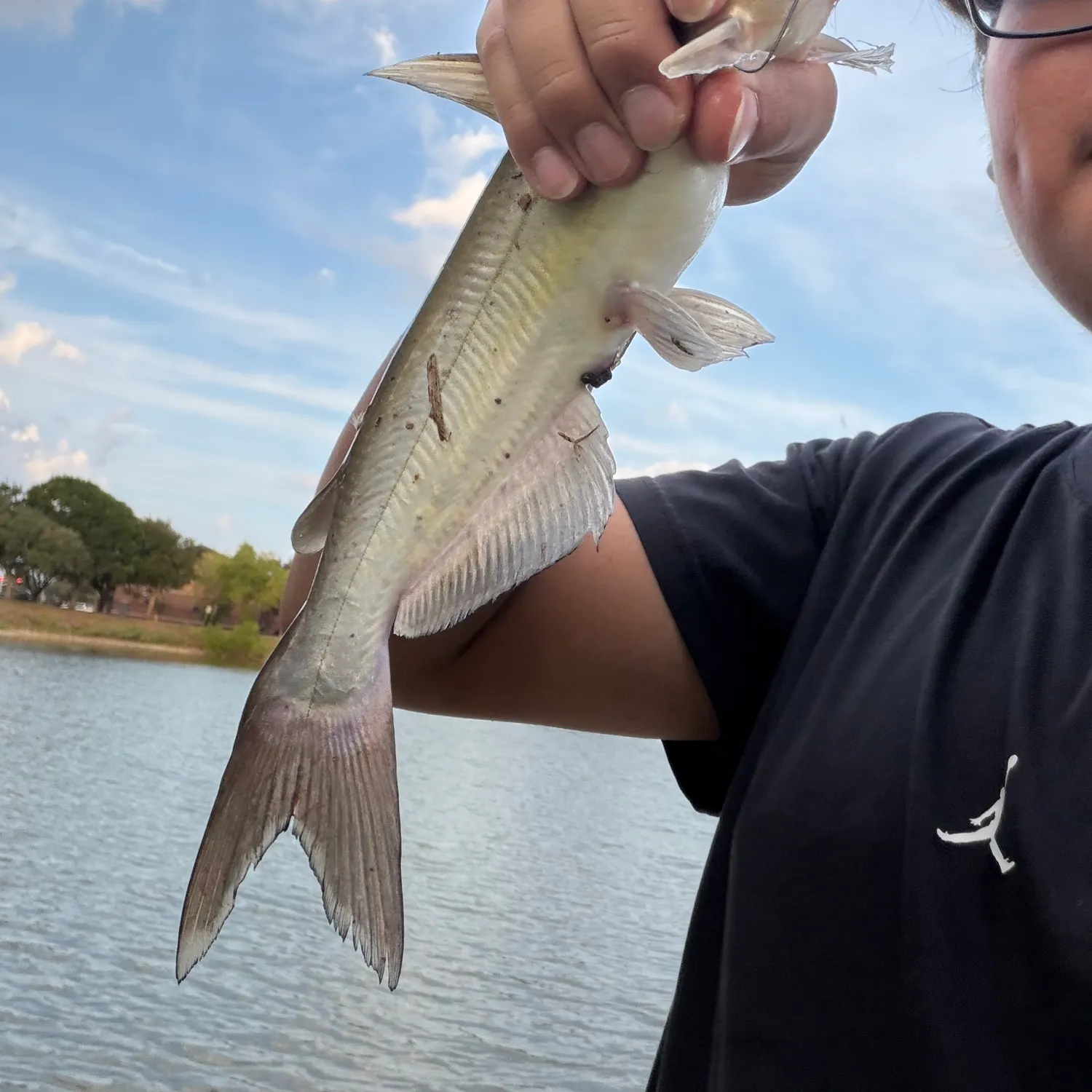 Channel catfish caught on Fishbrain
