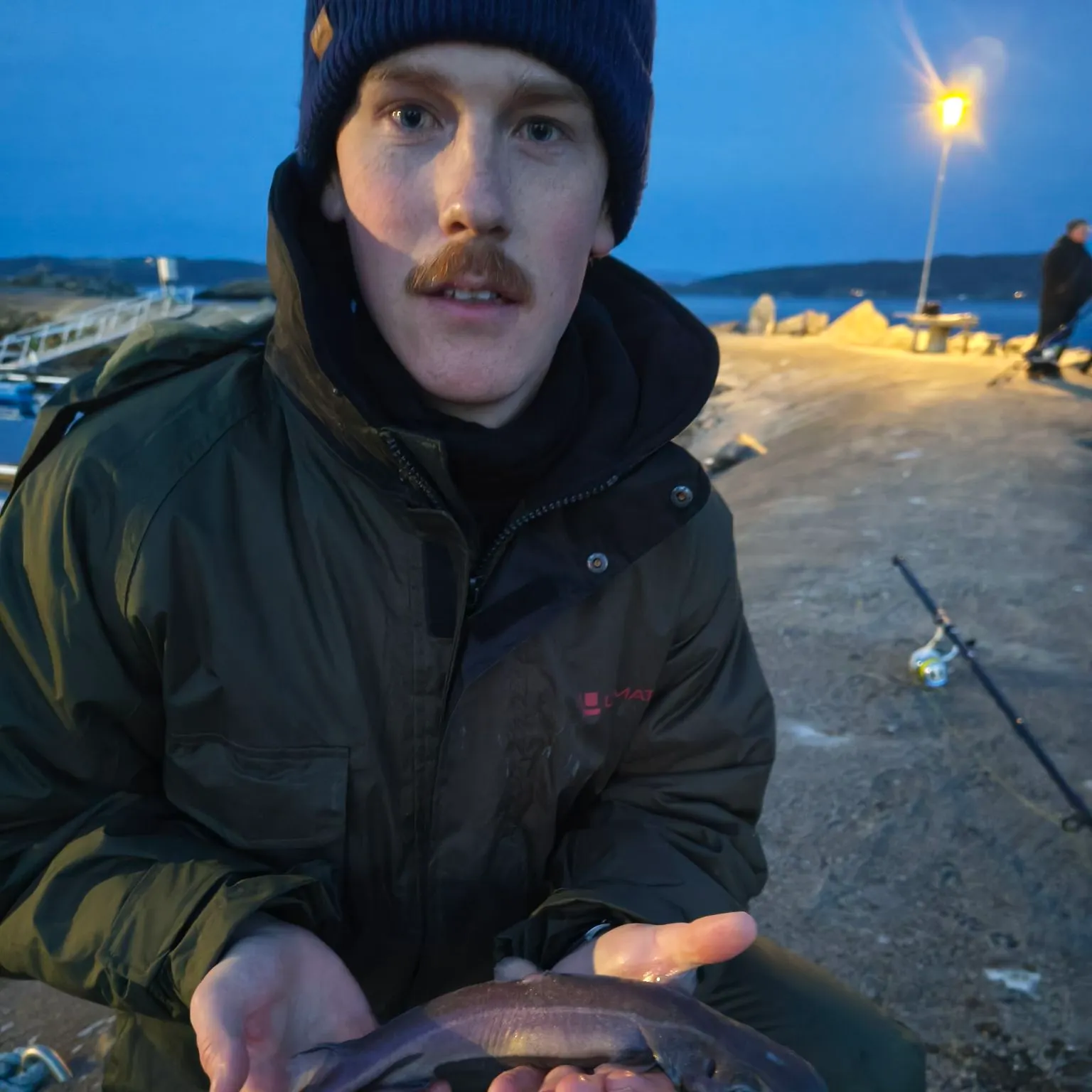 The most recent Velvet belly lanternshark catches on Fishbrain
