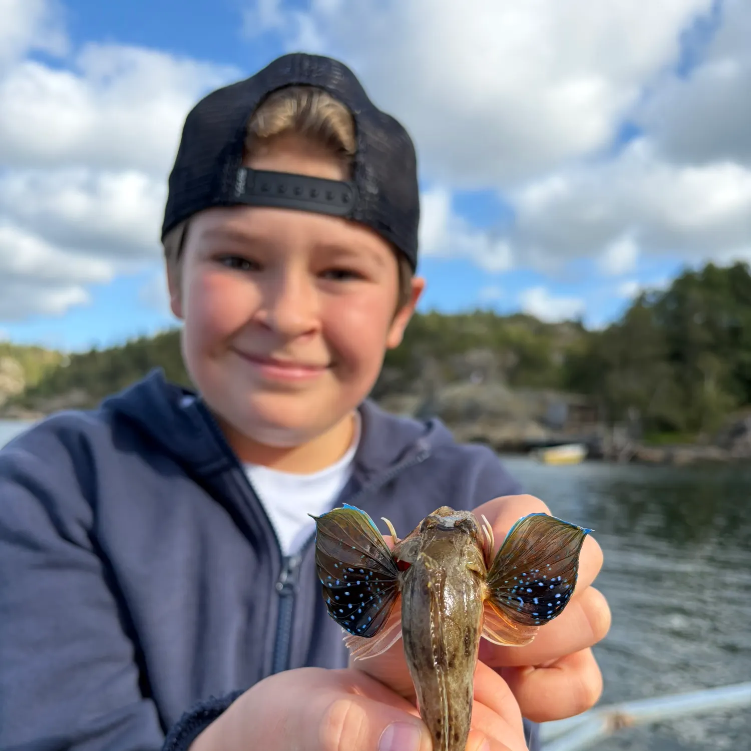 Tub gurnard caught on Fishbrain