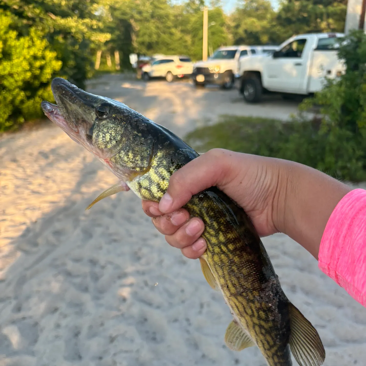 catch